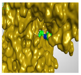 Molecules 27 00767 i021