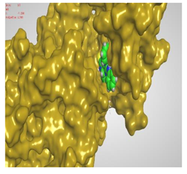 Molecules 27 00767 i024