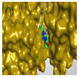 Molecules 27 00767 i027