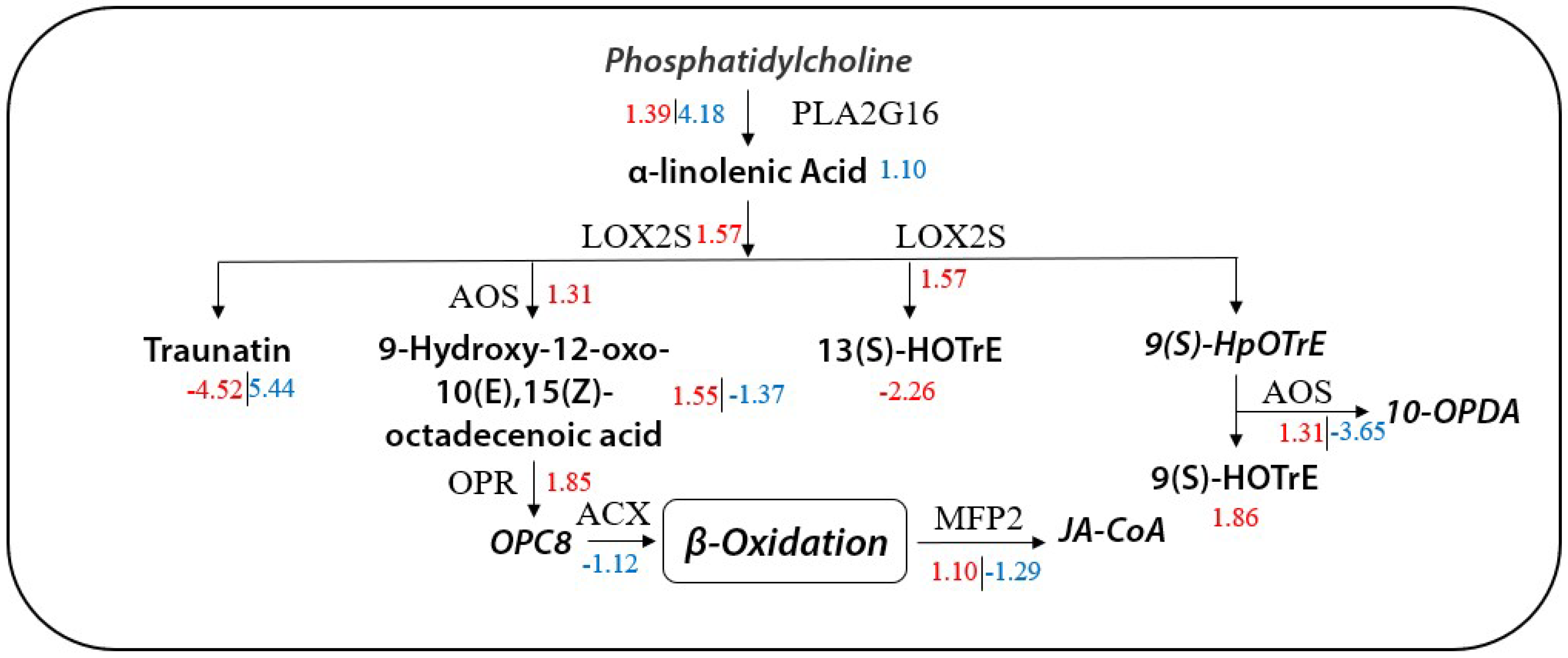 Molecules 27 00771 g010