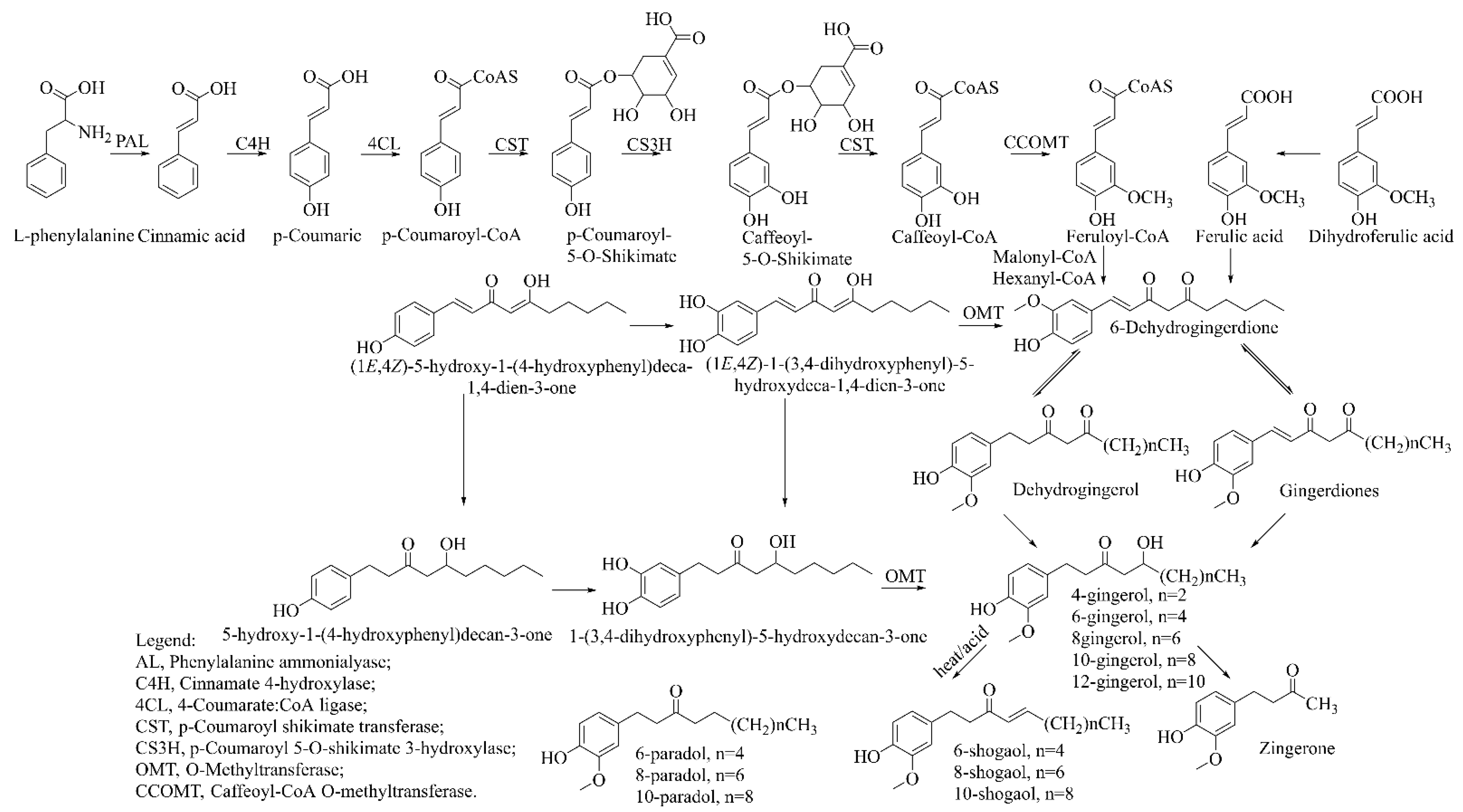Molecules 27 00775 g002