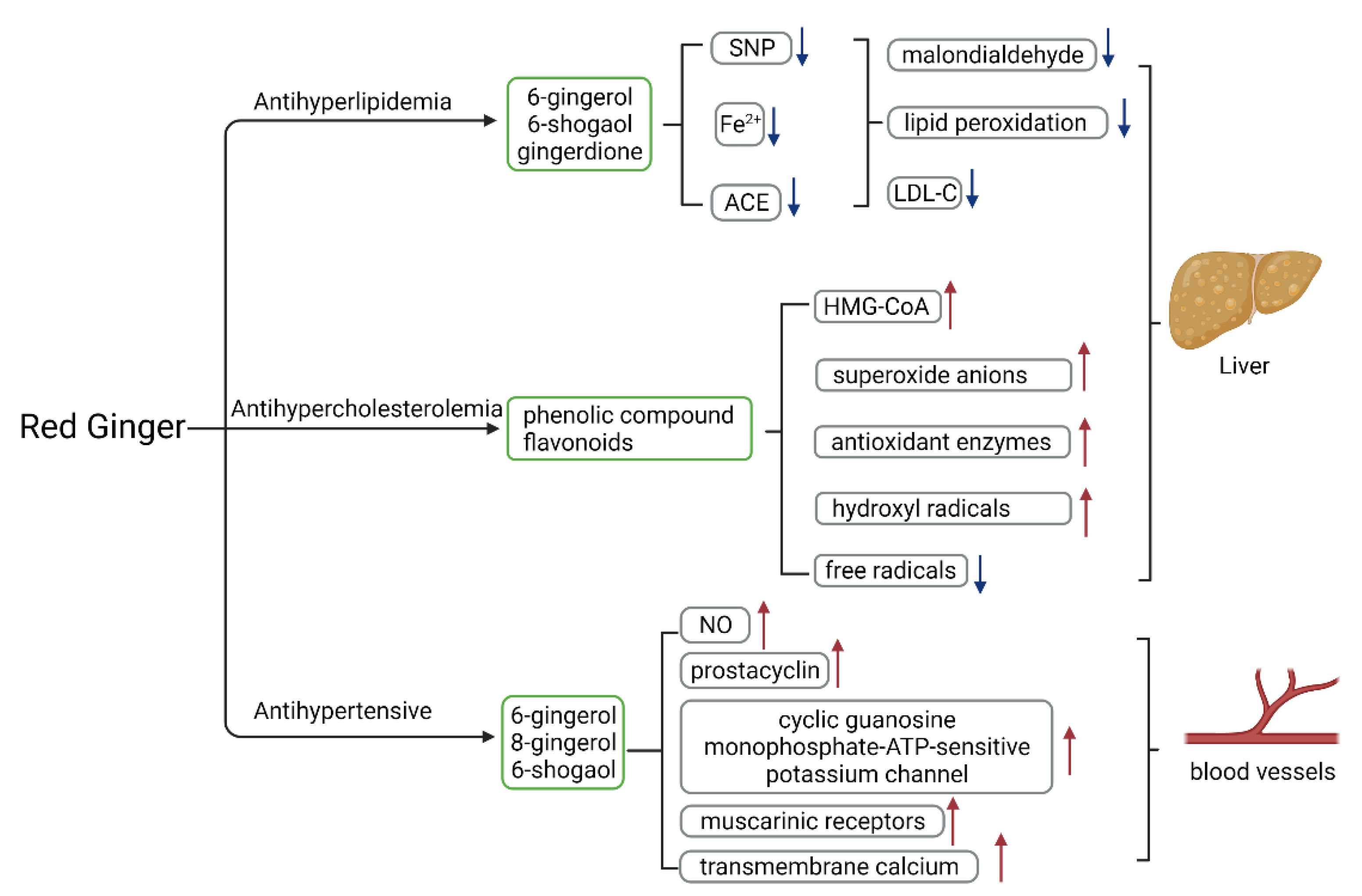 Molecules 27 00775 g005