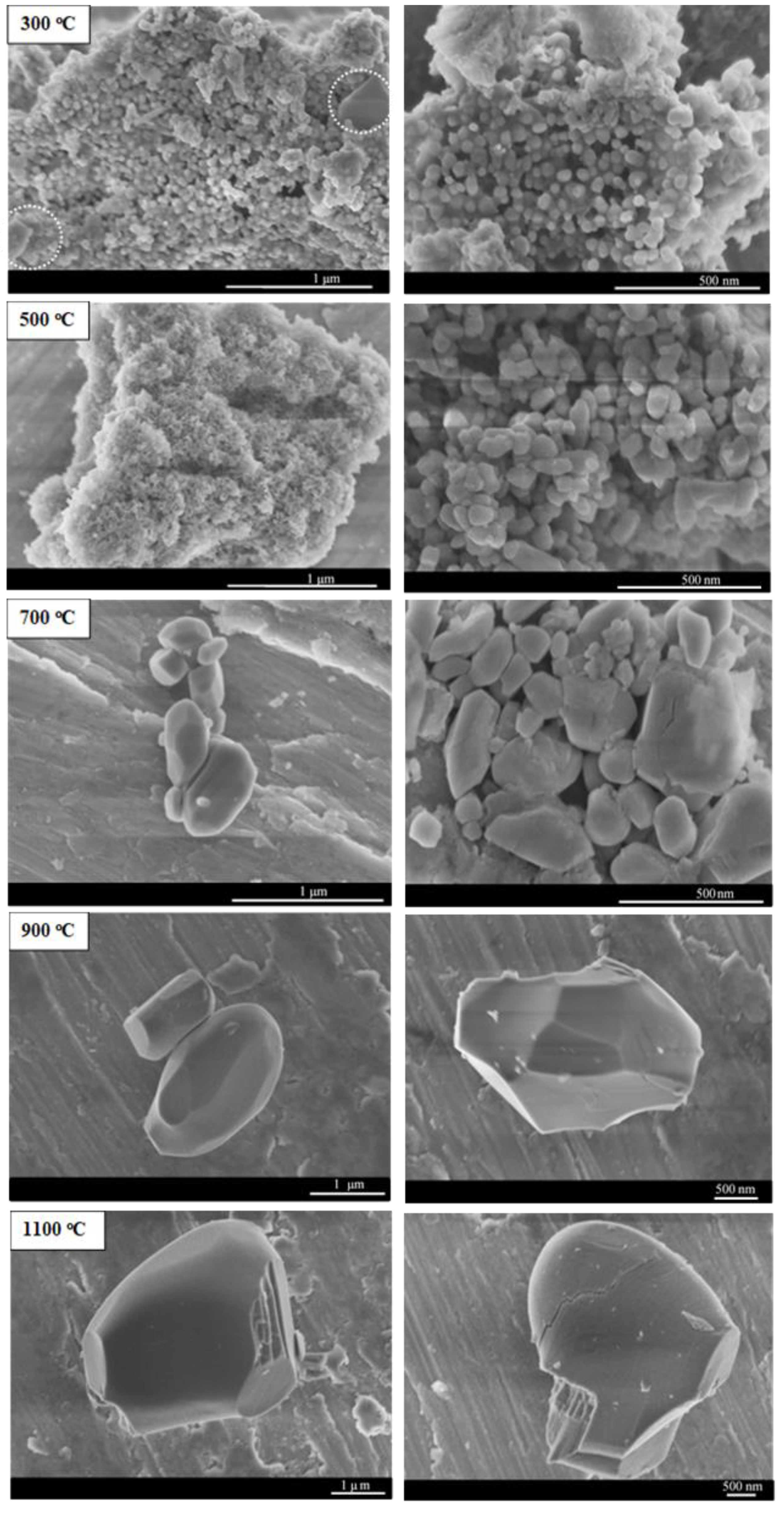 Molecules 27 00776 g004