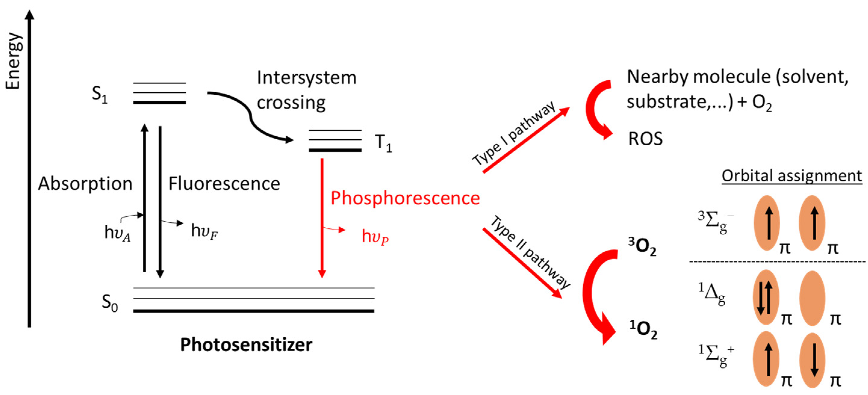 Molecules 27 00778 g001