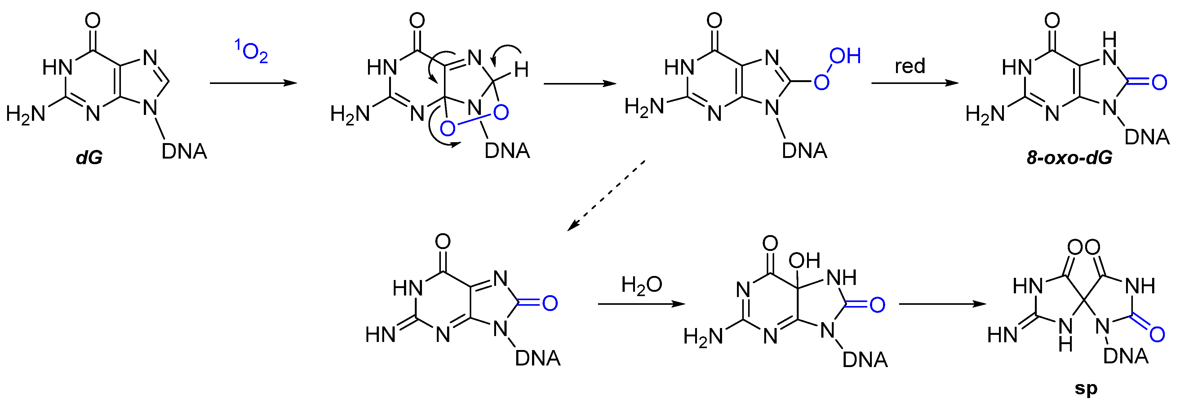 Molecules 27 00778 g004