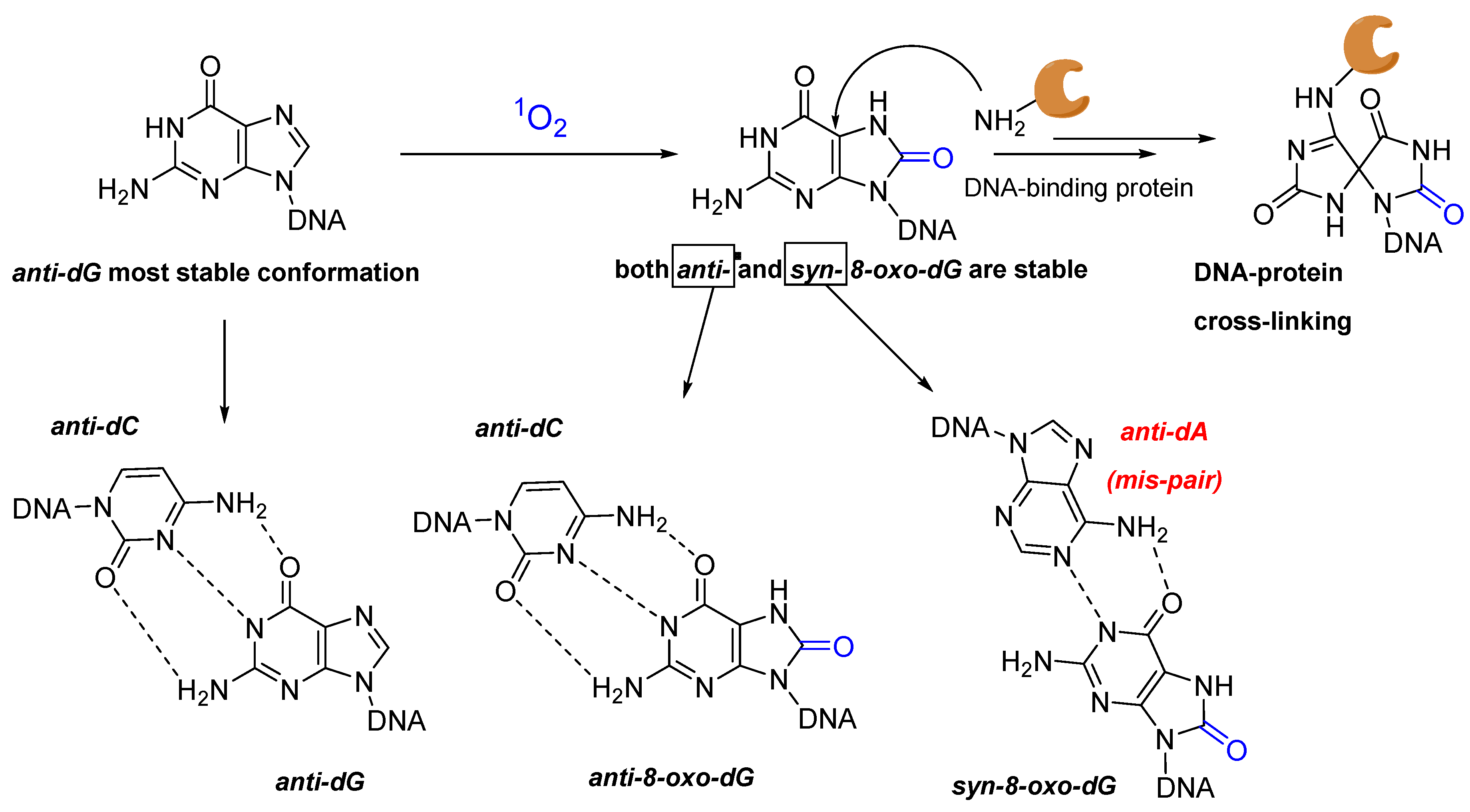 Molecules 27 00778 g005