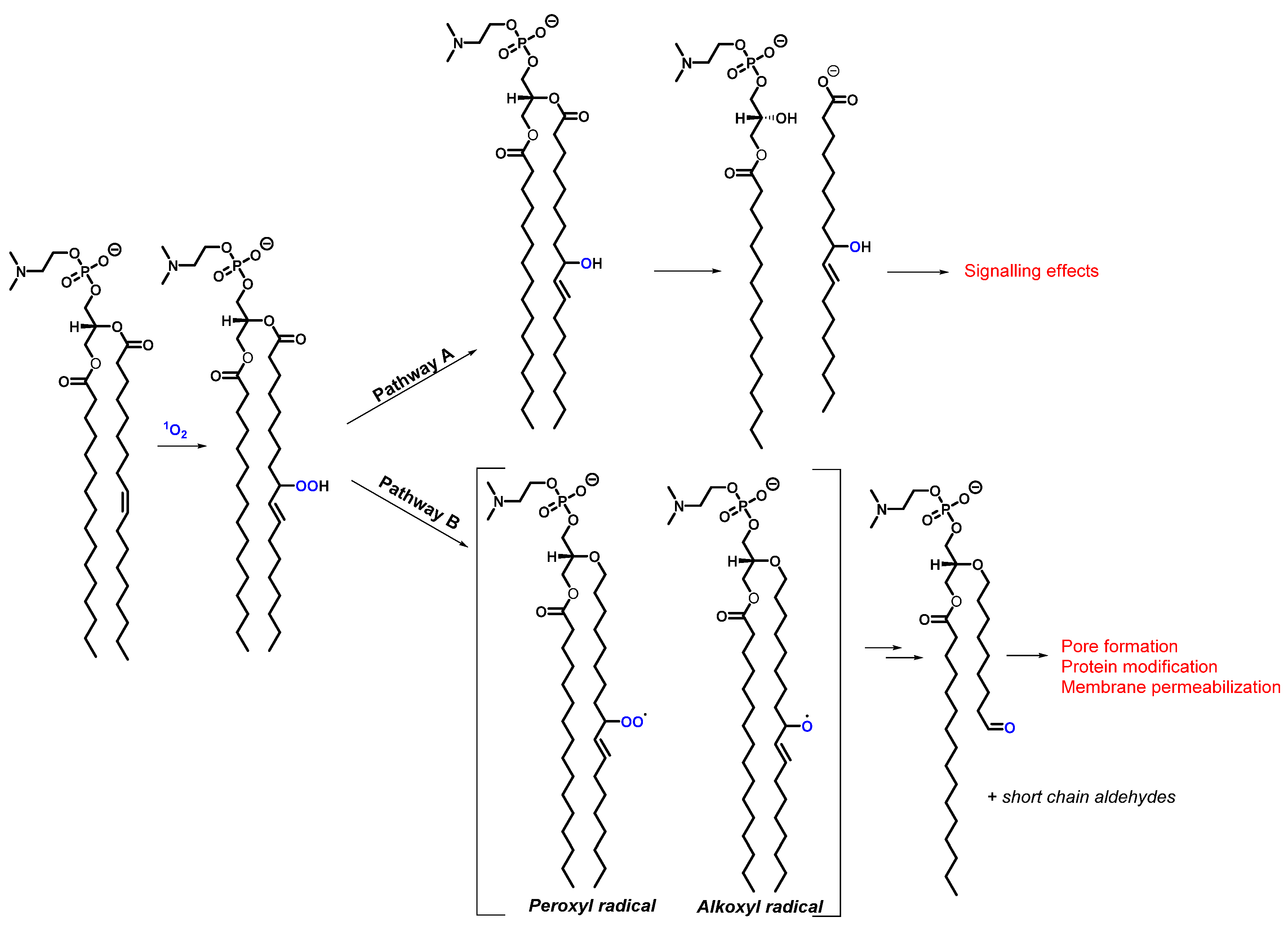 Molecules 27 00778 g007
