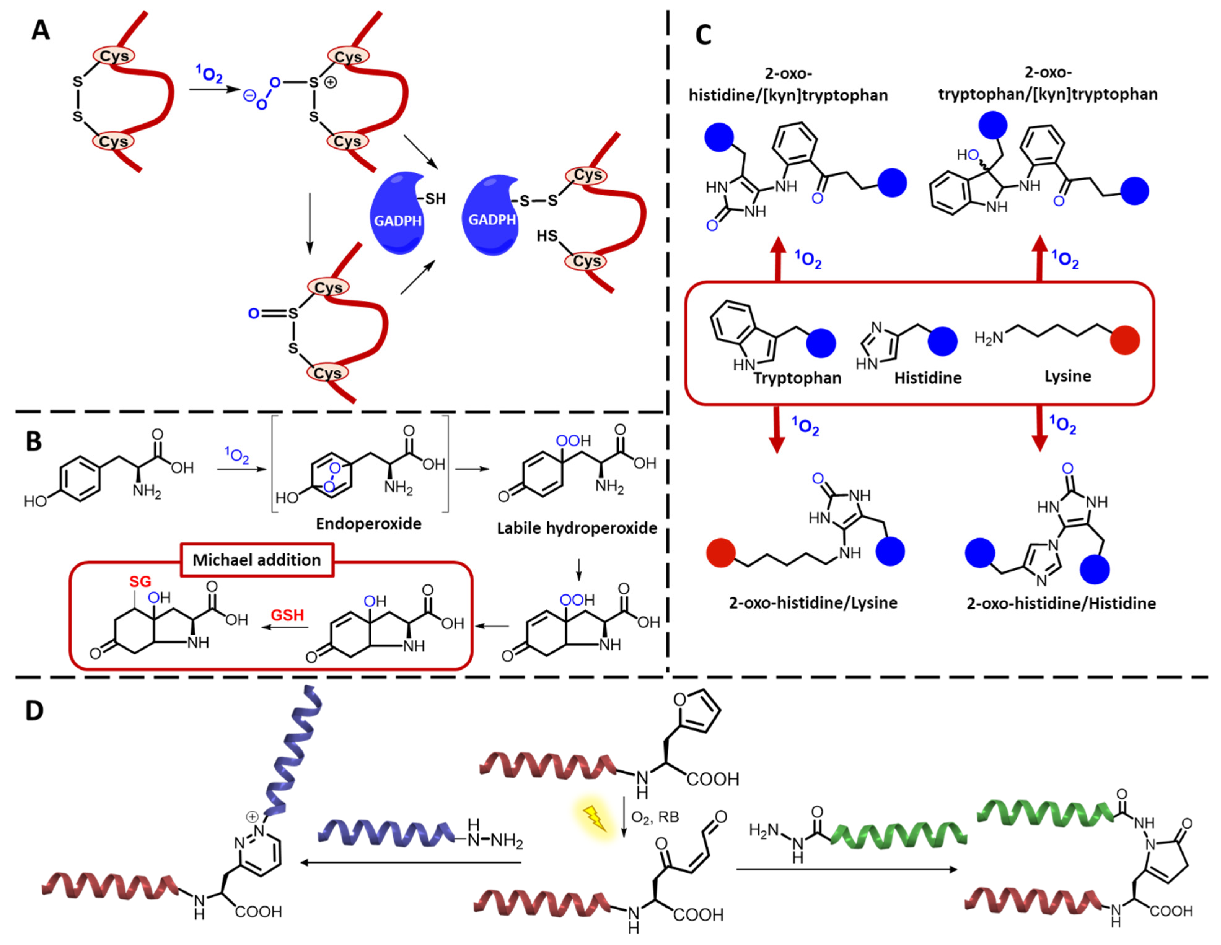 Molecules 27 00778 g009