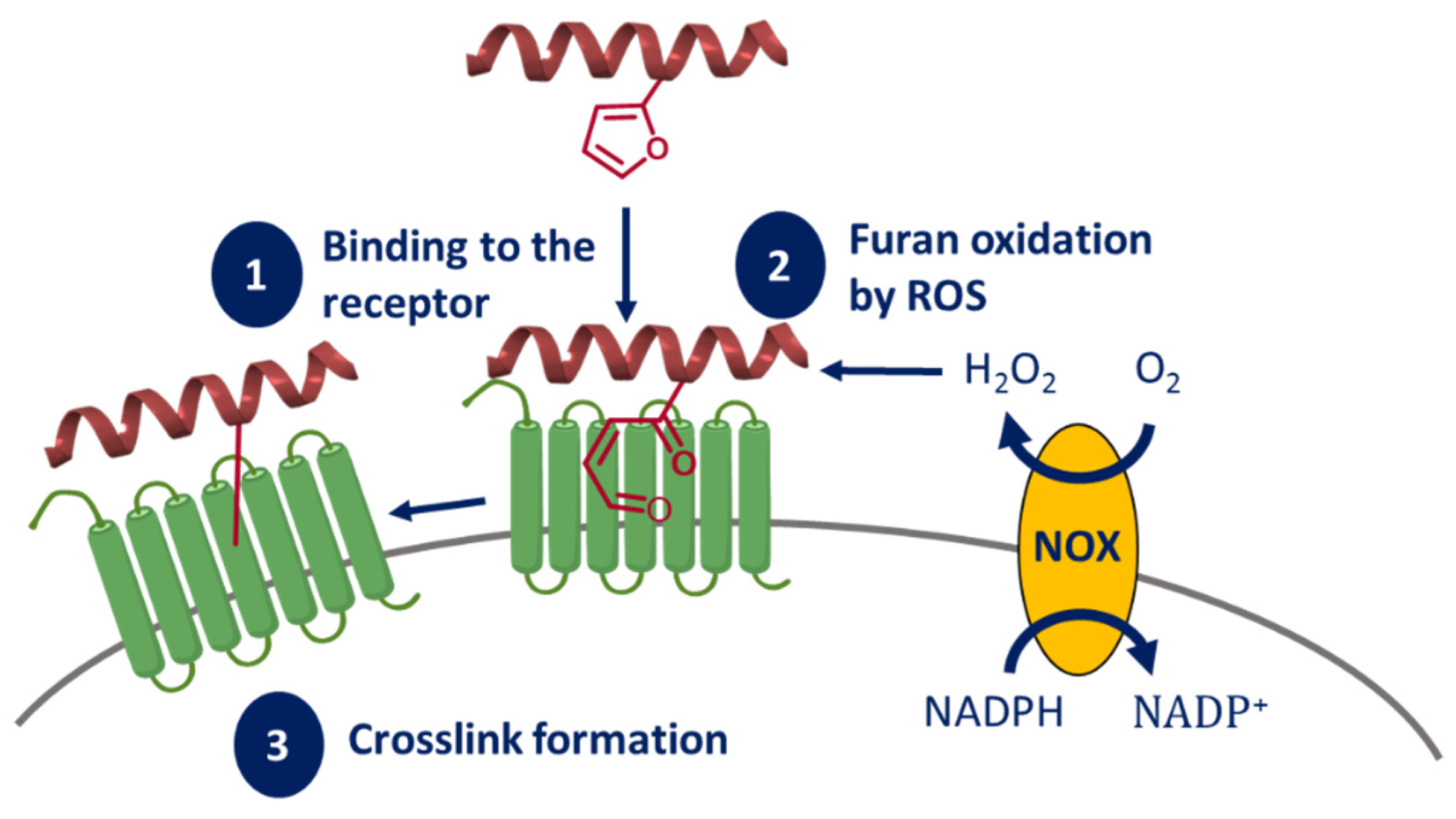 Molecules 27 00778 g010