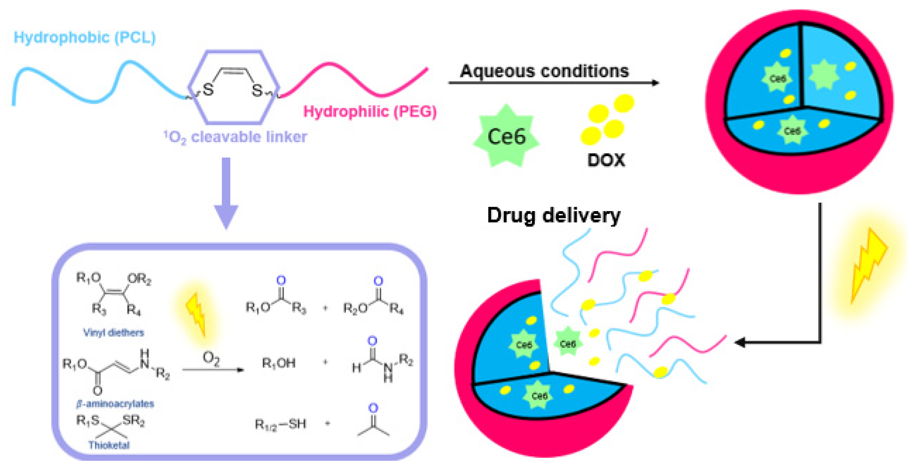 Molecules 27 00778 g013