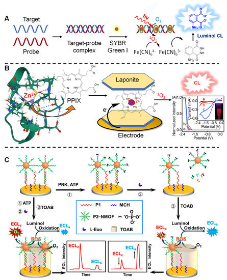 Molecules 27 00778 g015