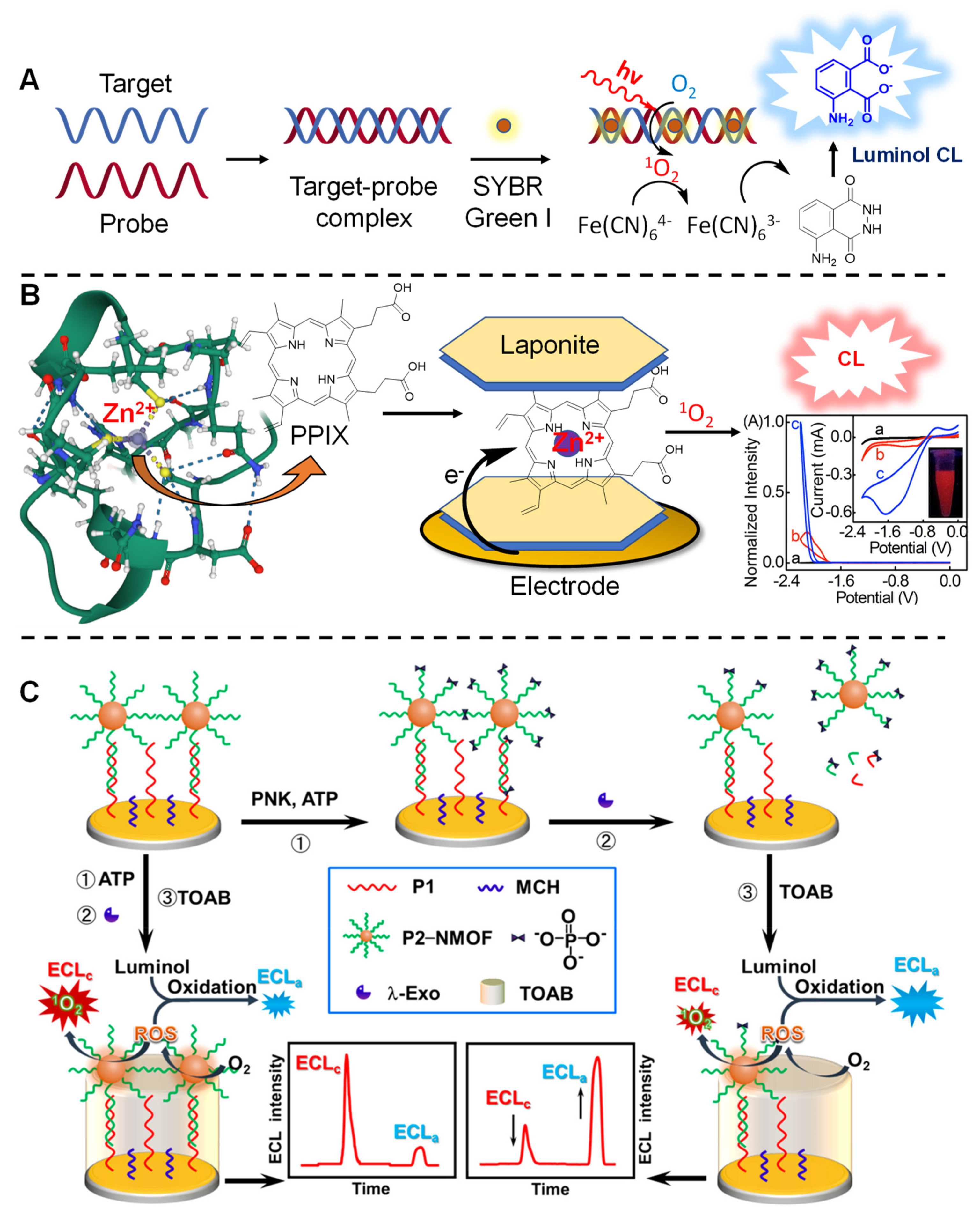 Molecules 27 00778 g015