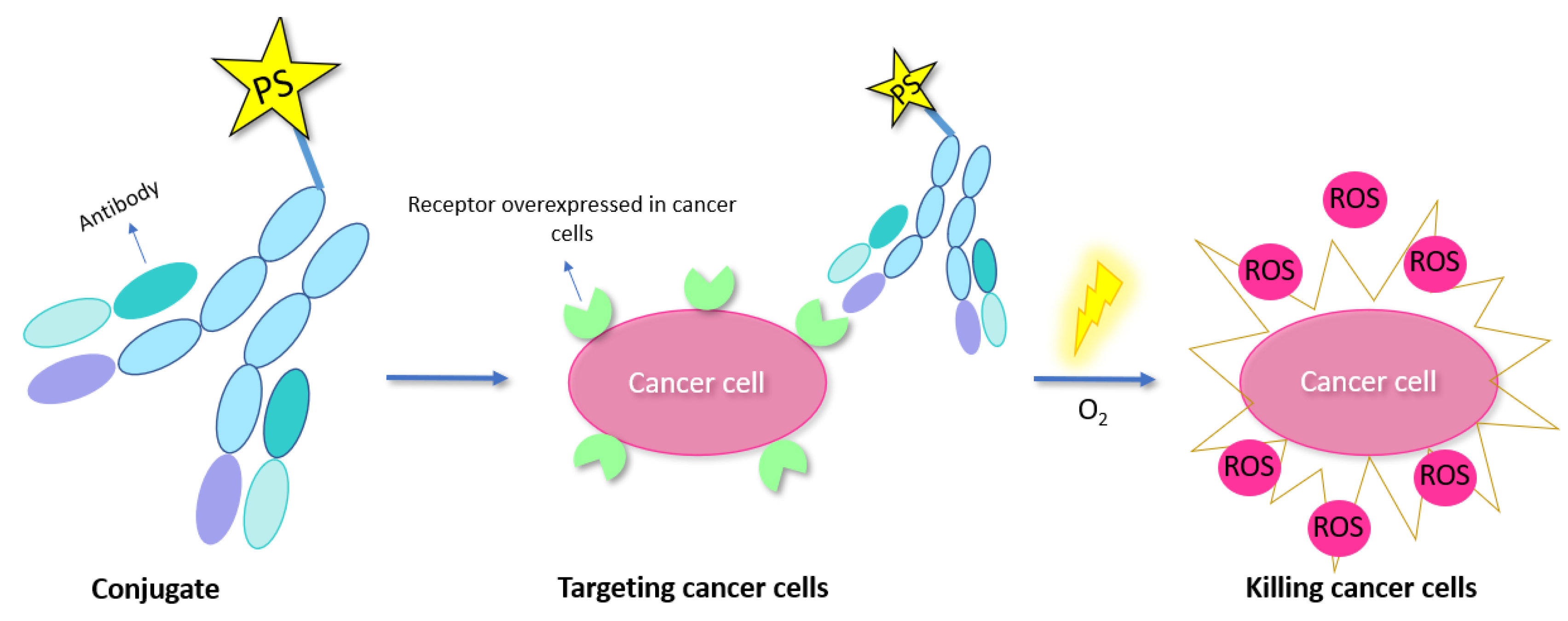 Molecules 27 00778 g018