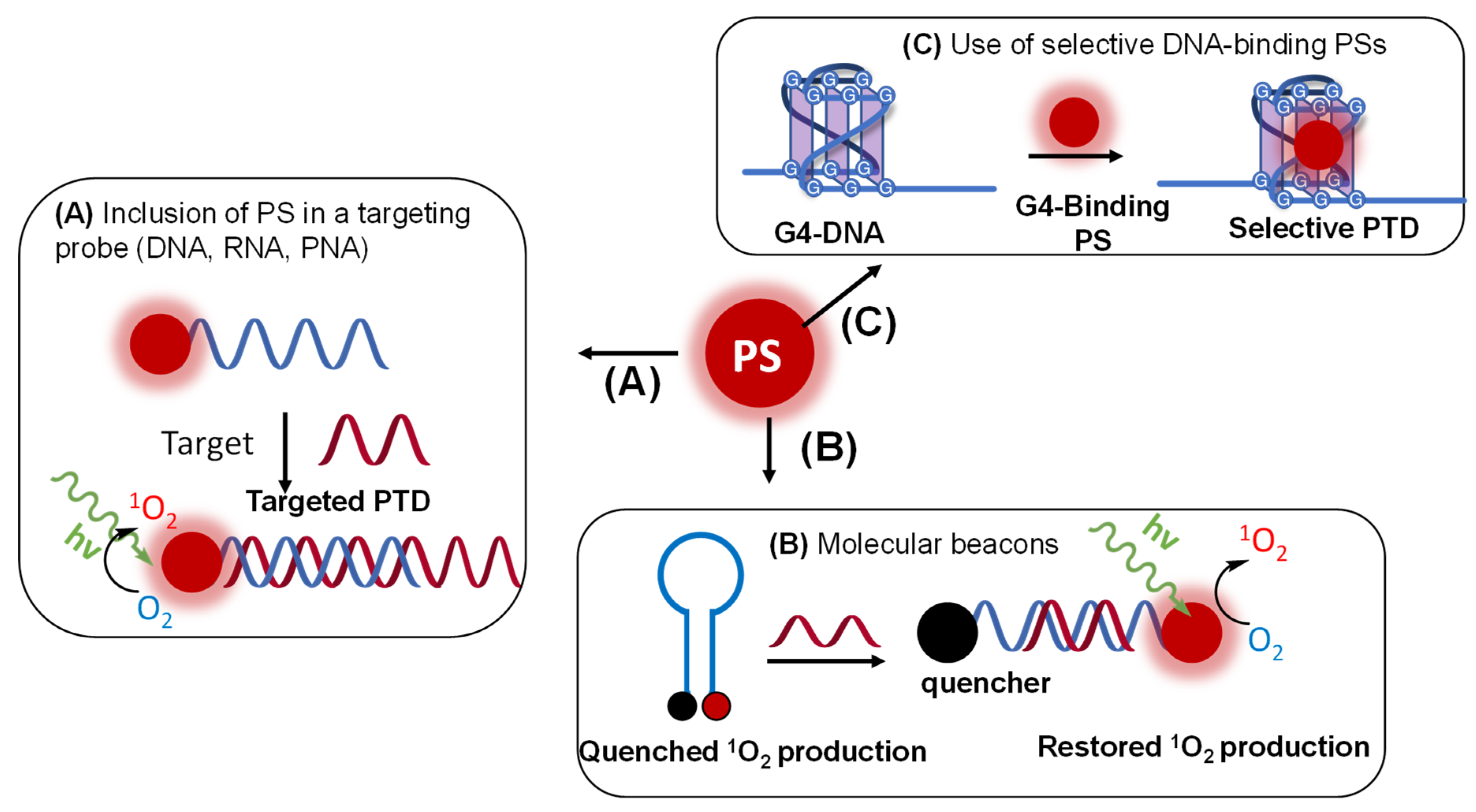 Molecules 27 00778 g019