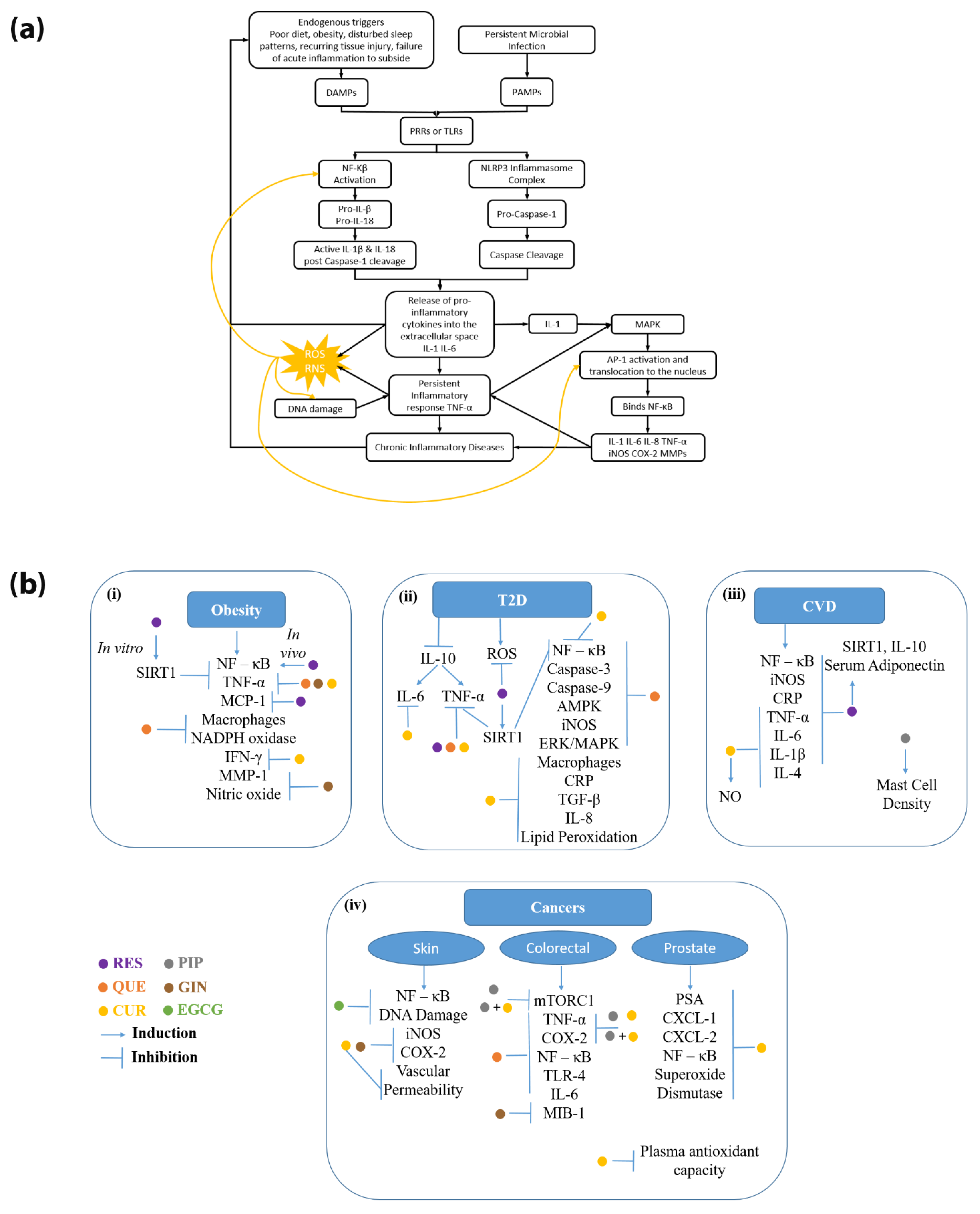 Molecules 27 00781 g001