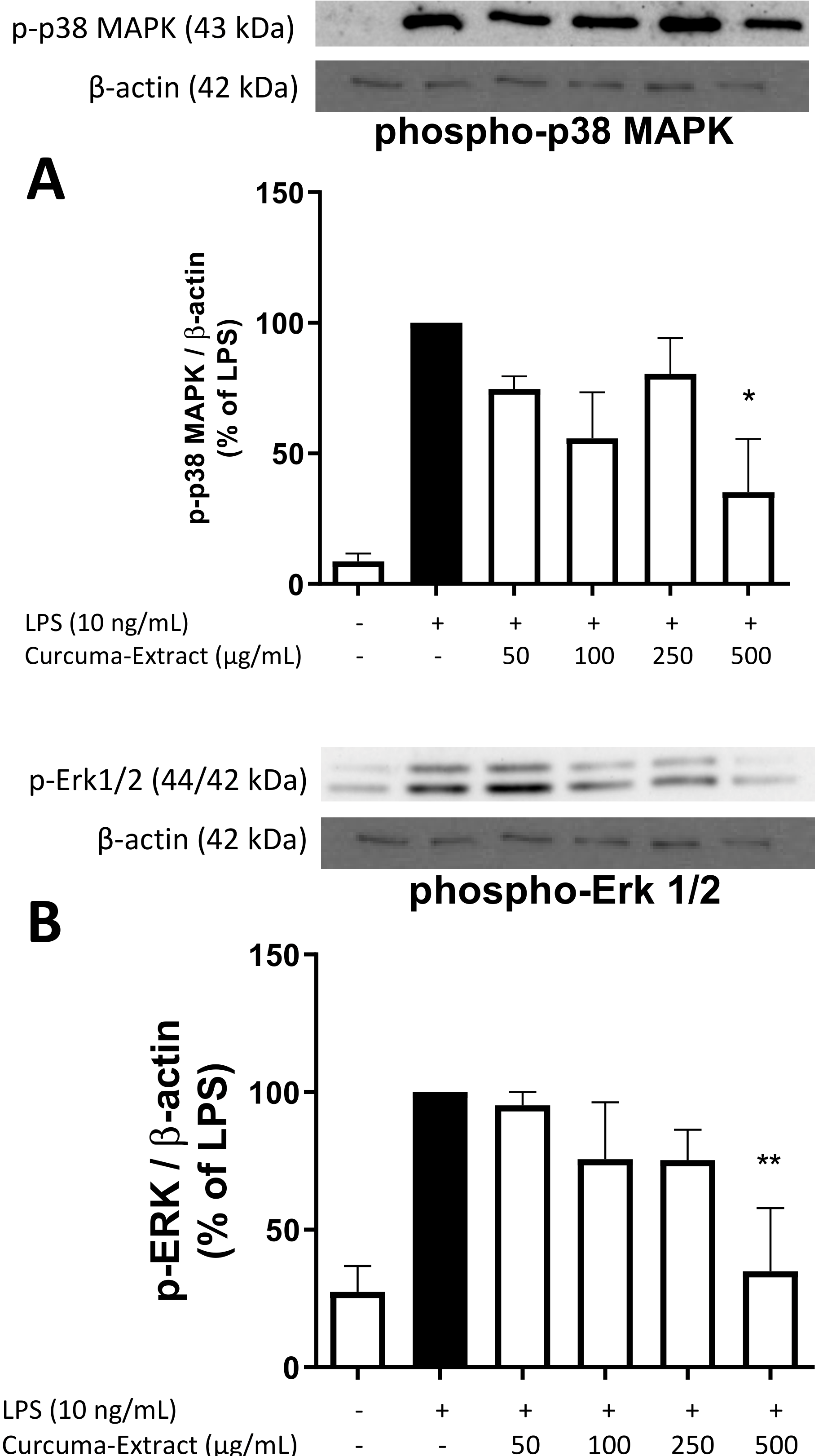 Molecules 27 00784 g005