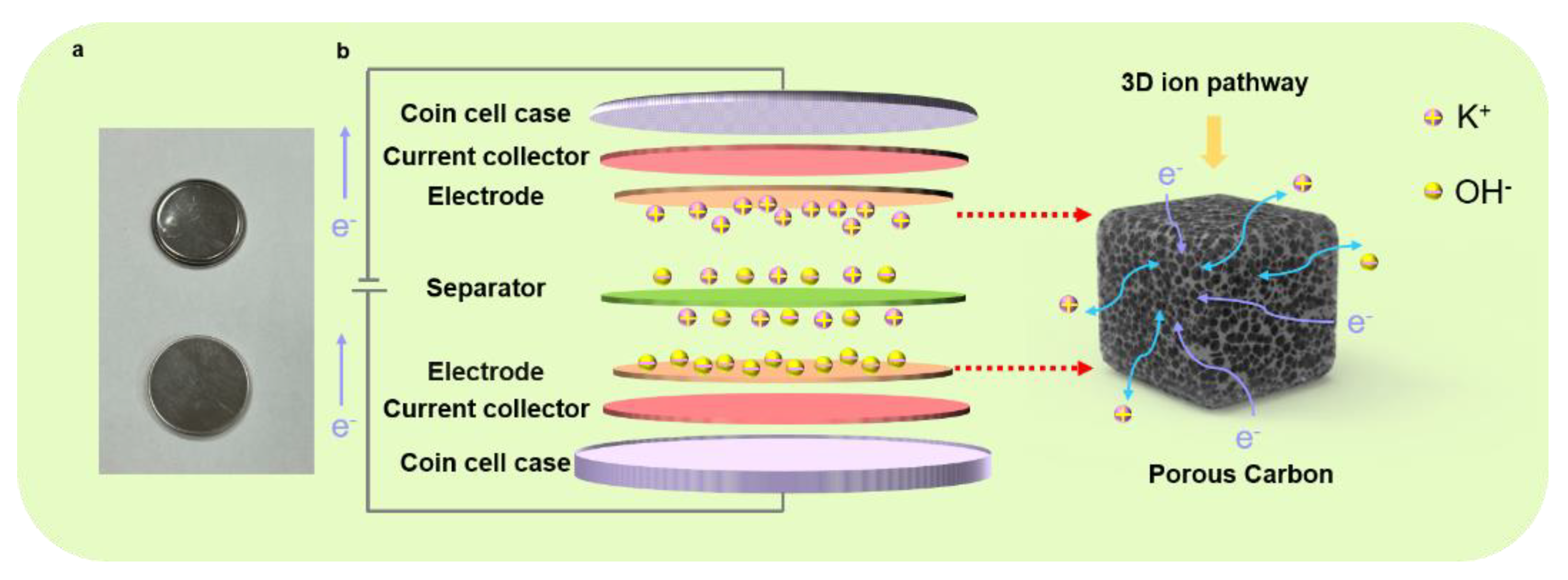 Molecules 27 00791 g005