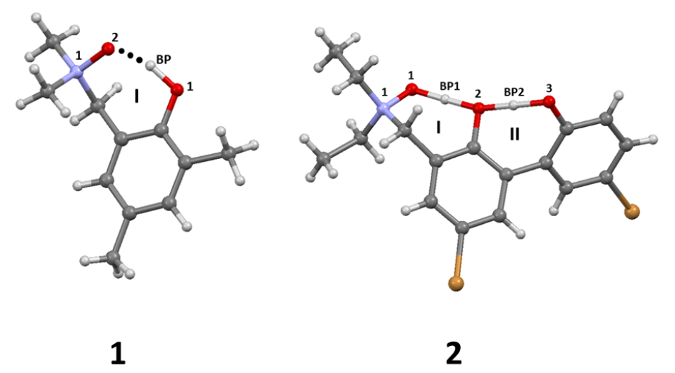 Molecules 27 00792 g001