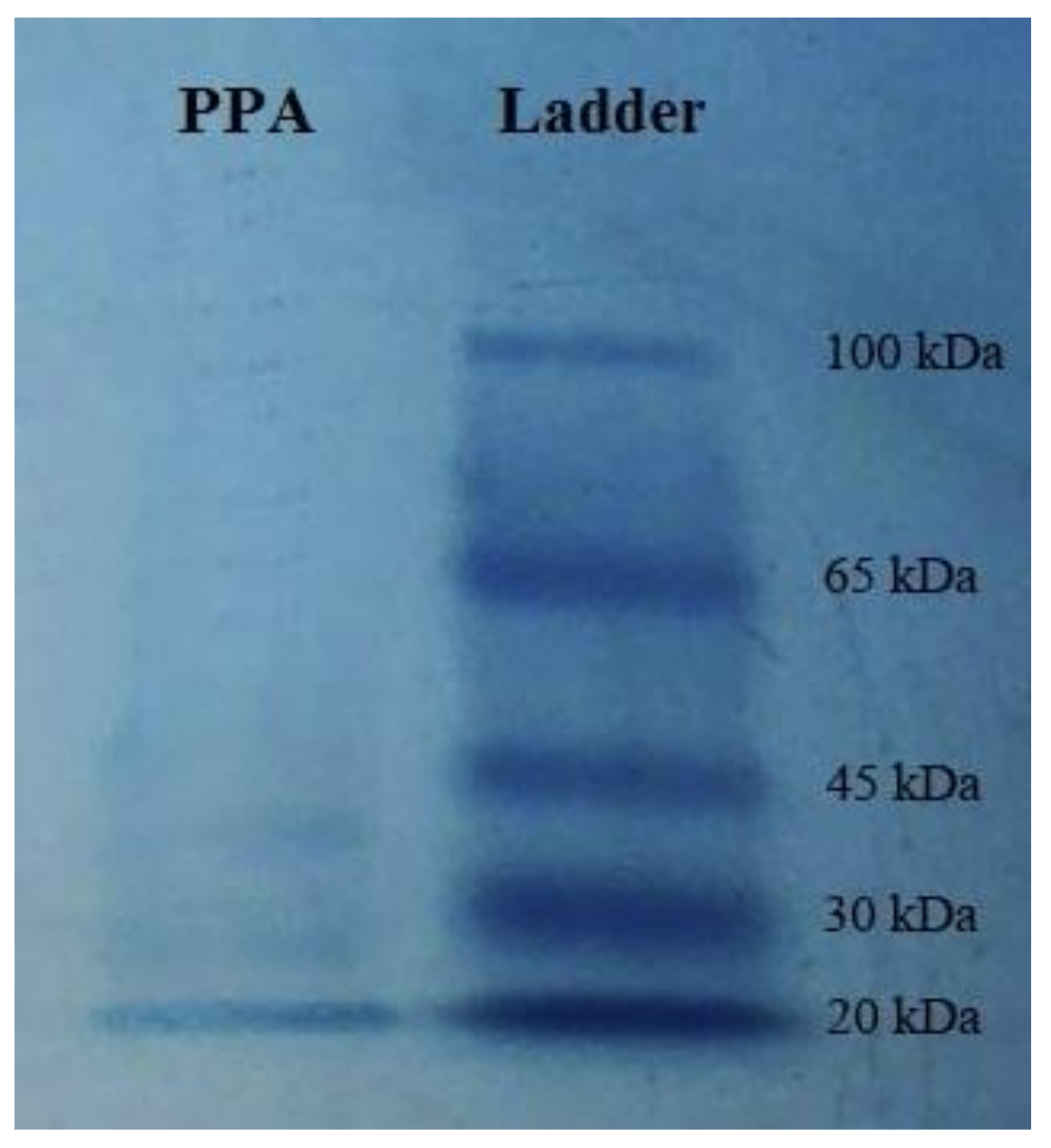 Molecules 27 00793 g001