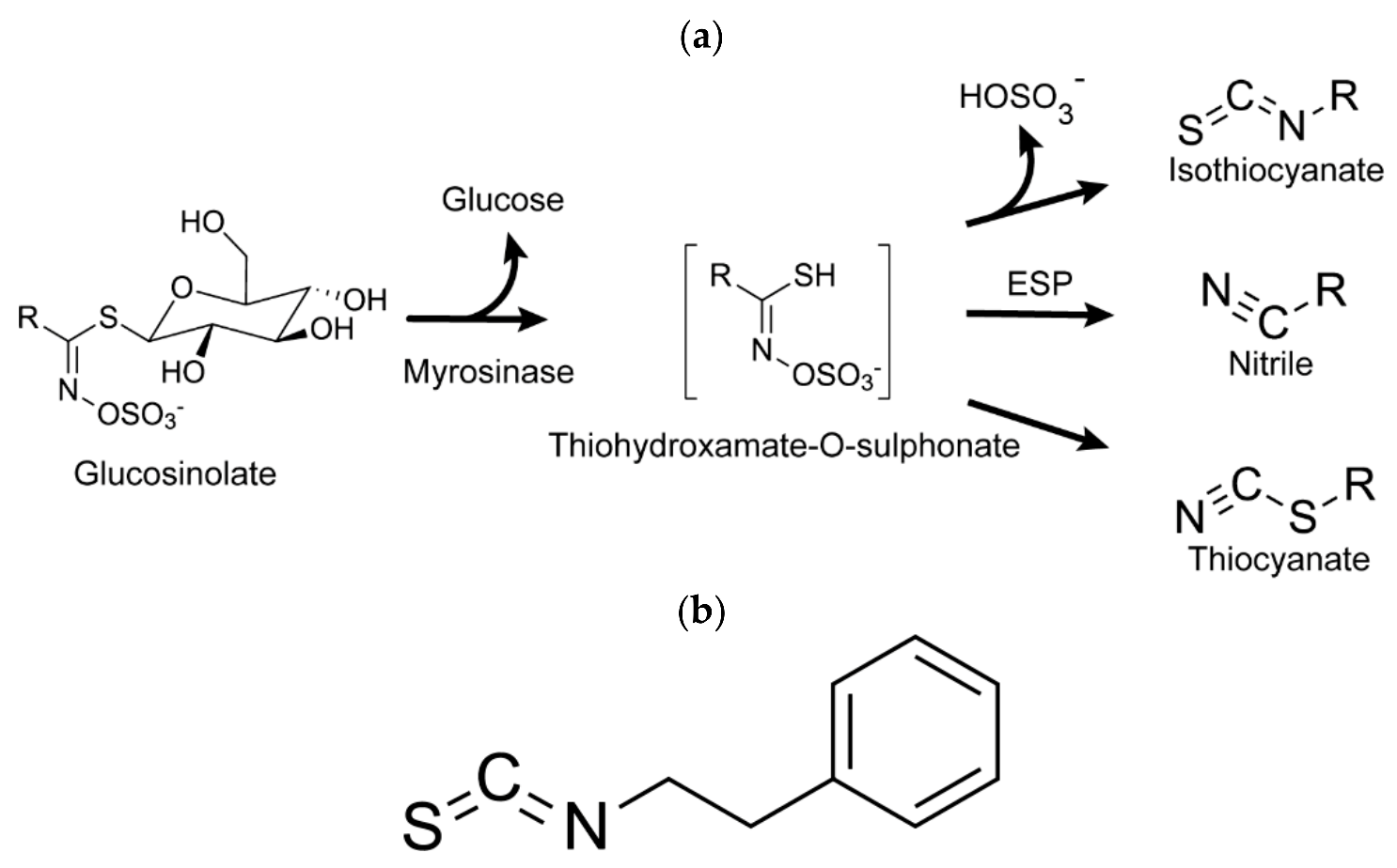 Molecules 27 00794 g002