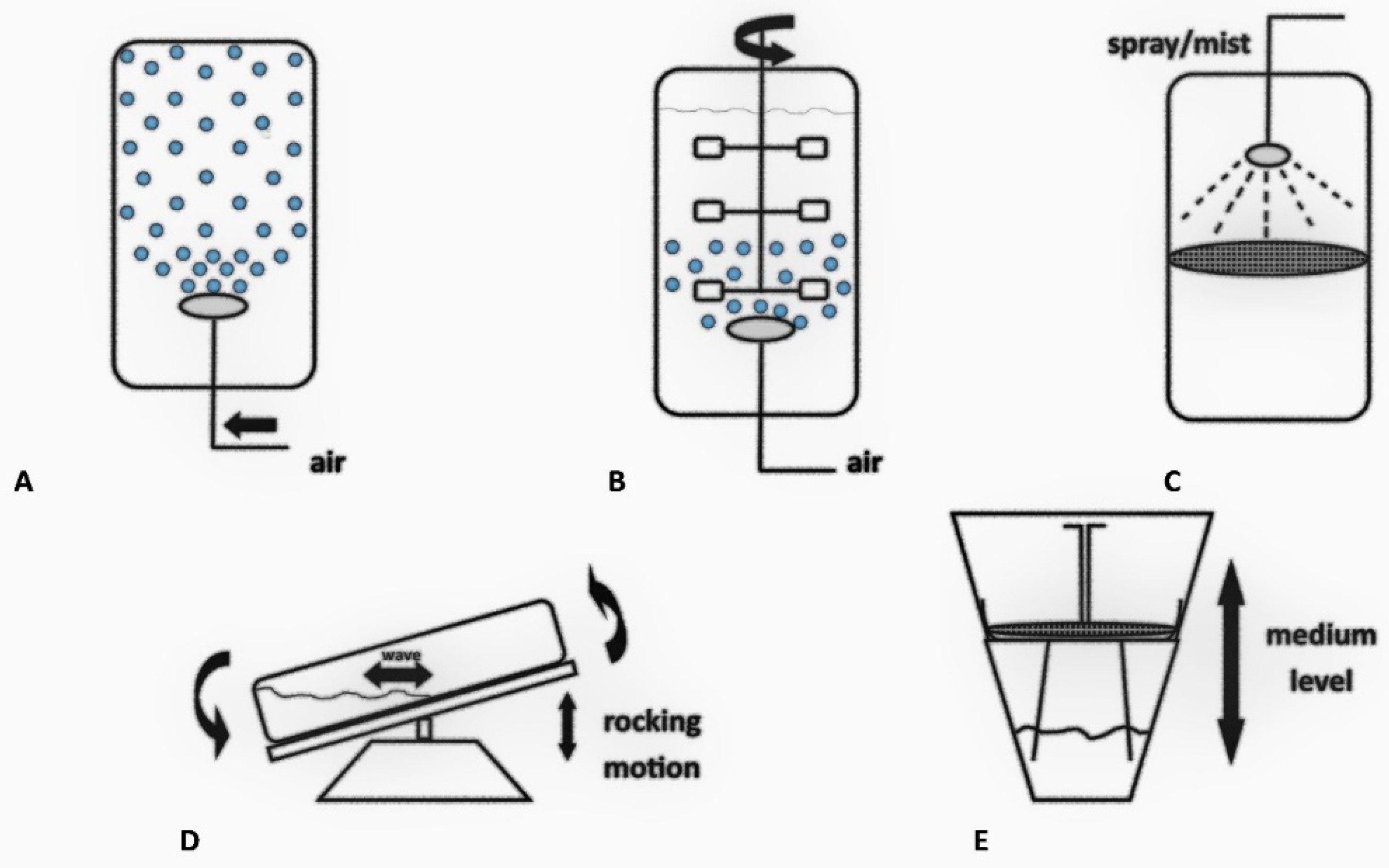 Molecules 27 00795 g002