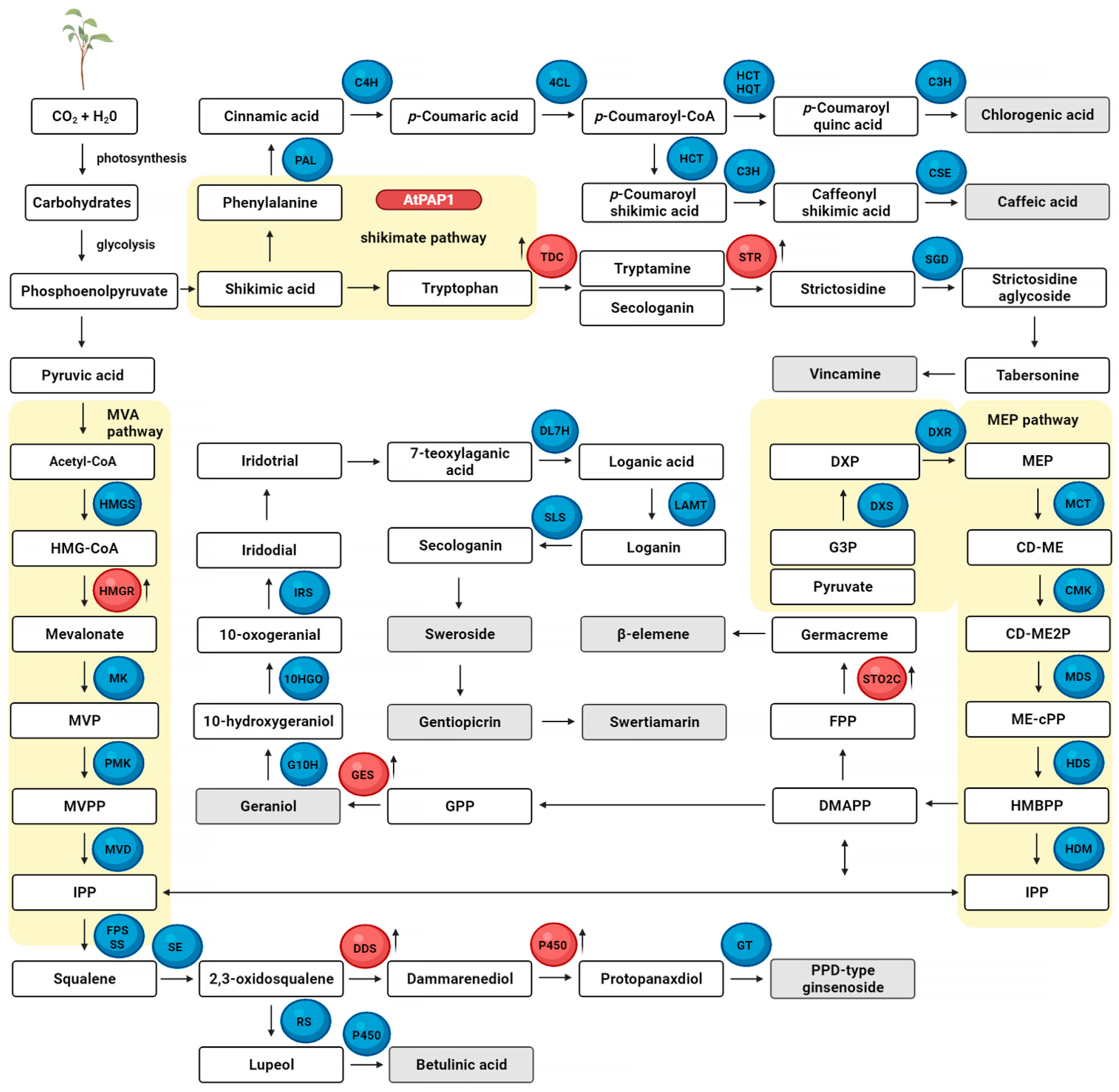 Molecules 27 00795 g003