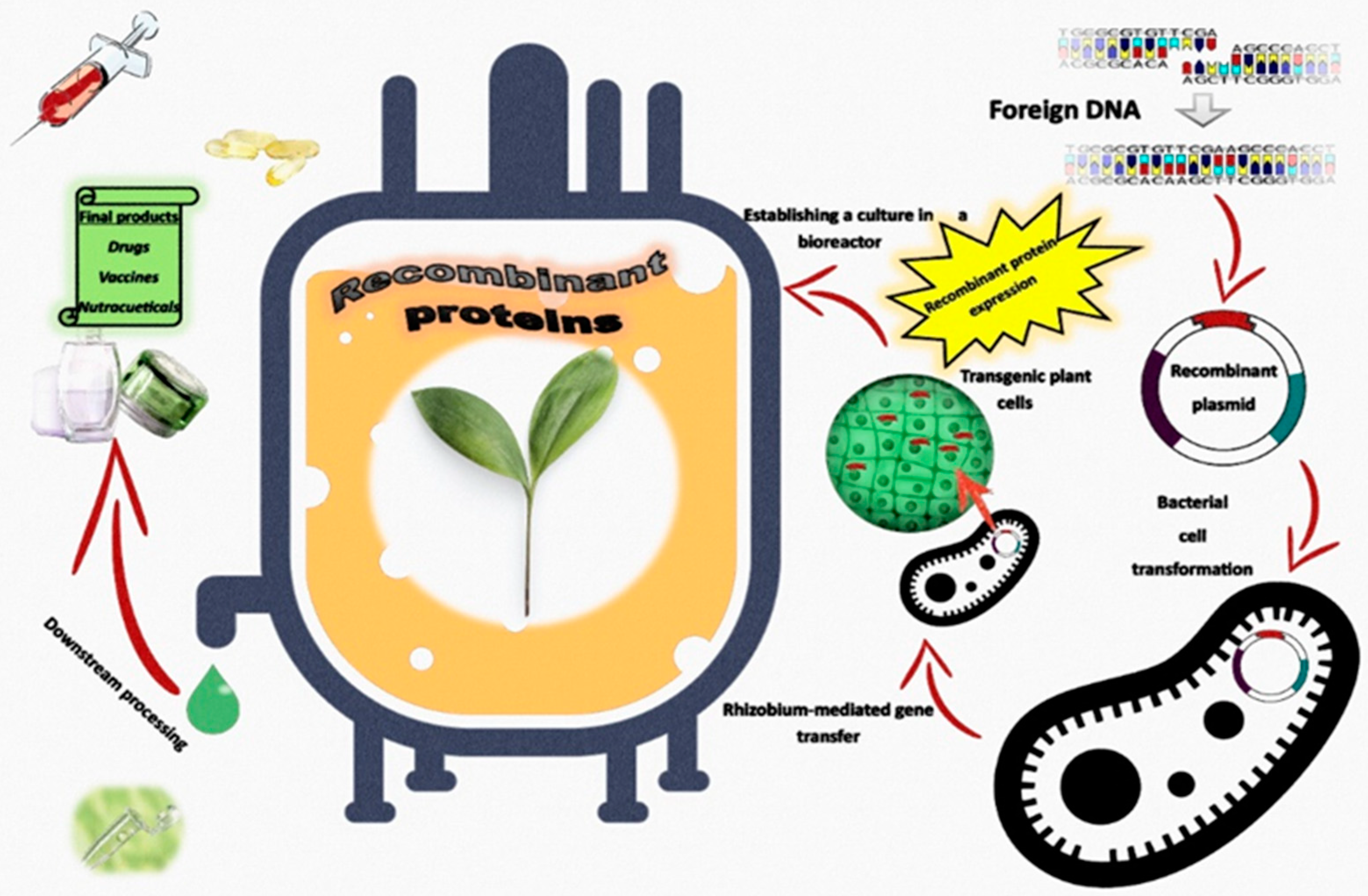 Molecules 27 00795 g004