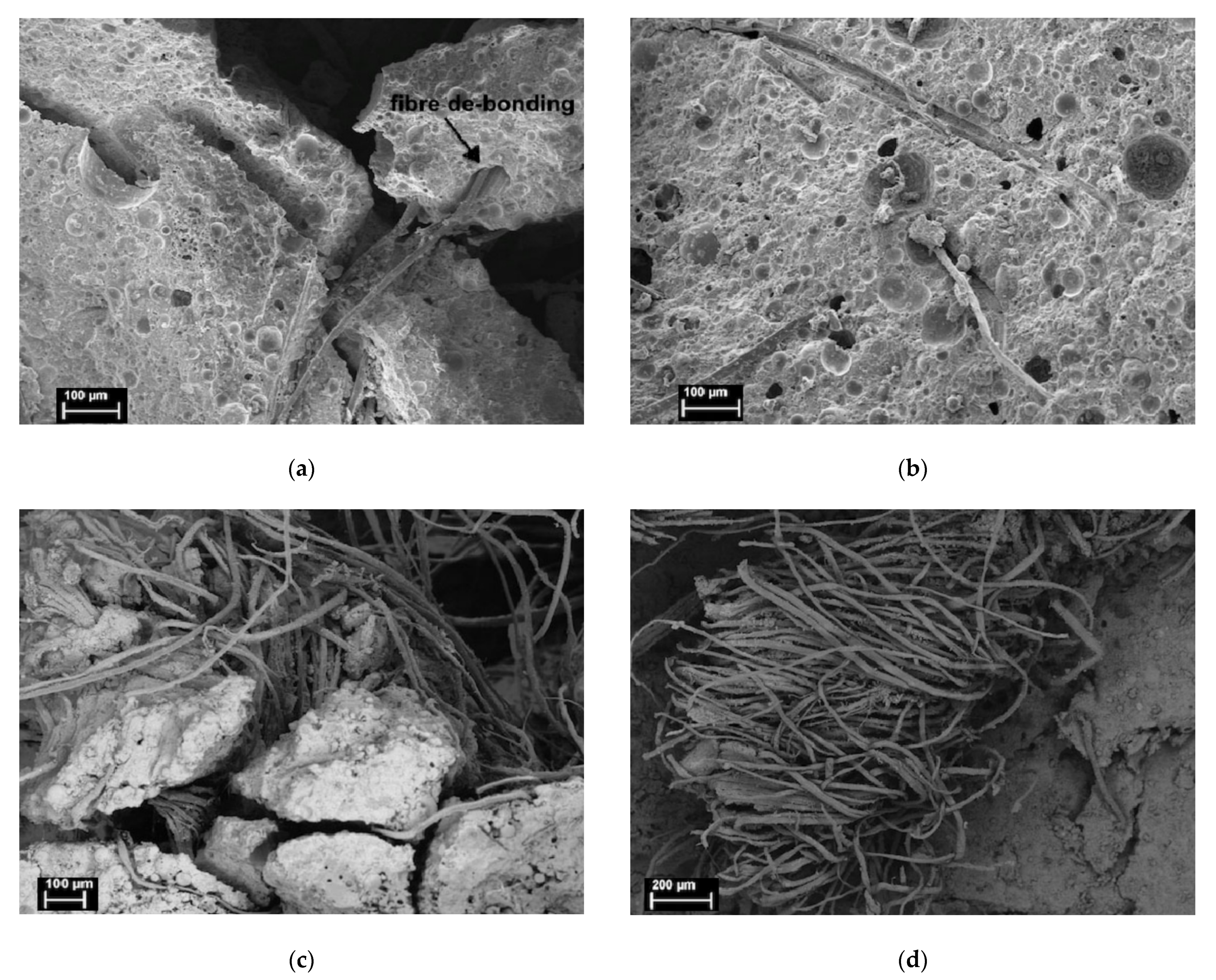 Molecules 27 00796 g004