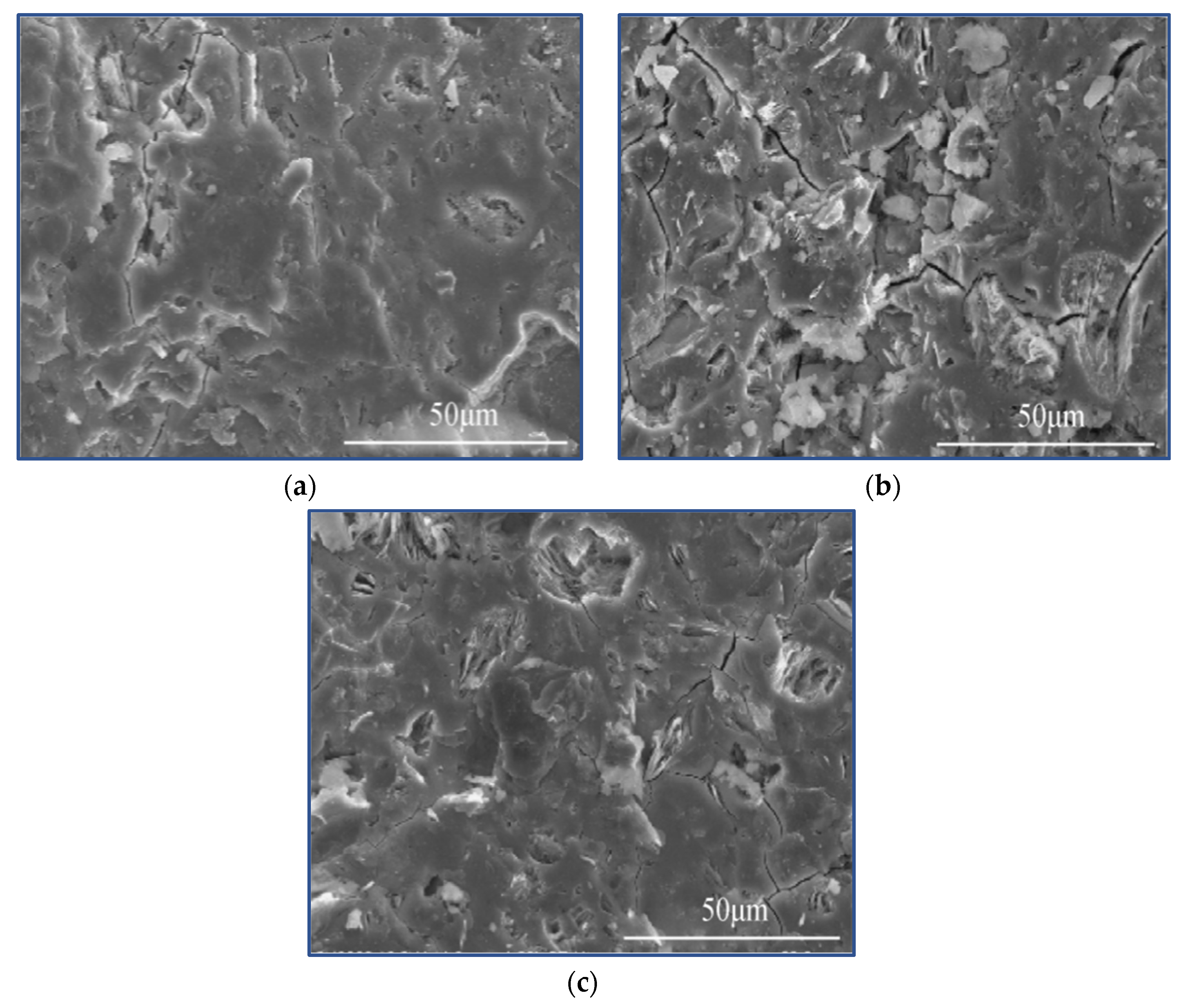 Molecules 27 00796 g006