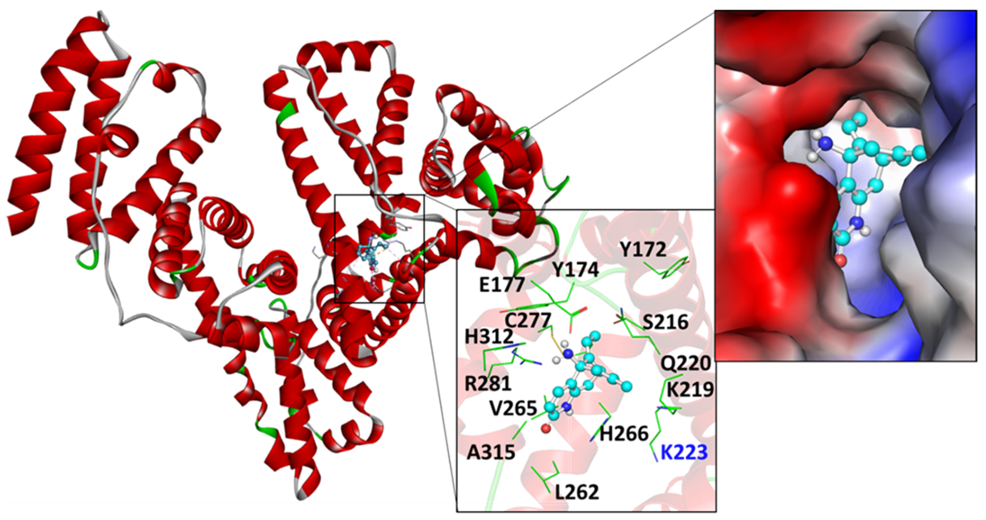 Molecules 27 00797 g001