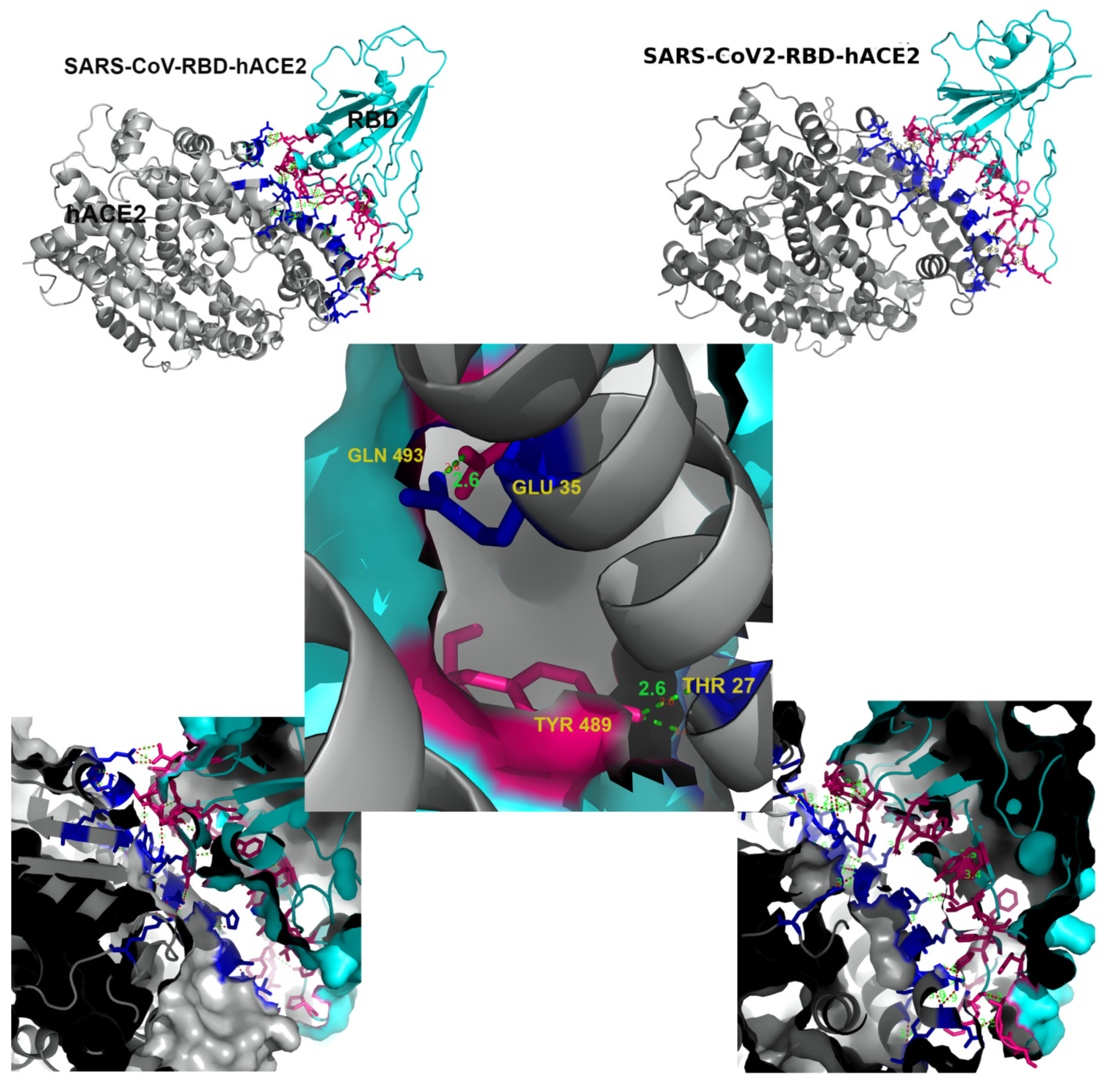 Molecules 27 00799 g001 Molecules 27 00799 g001