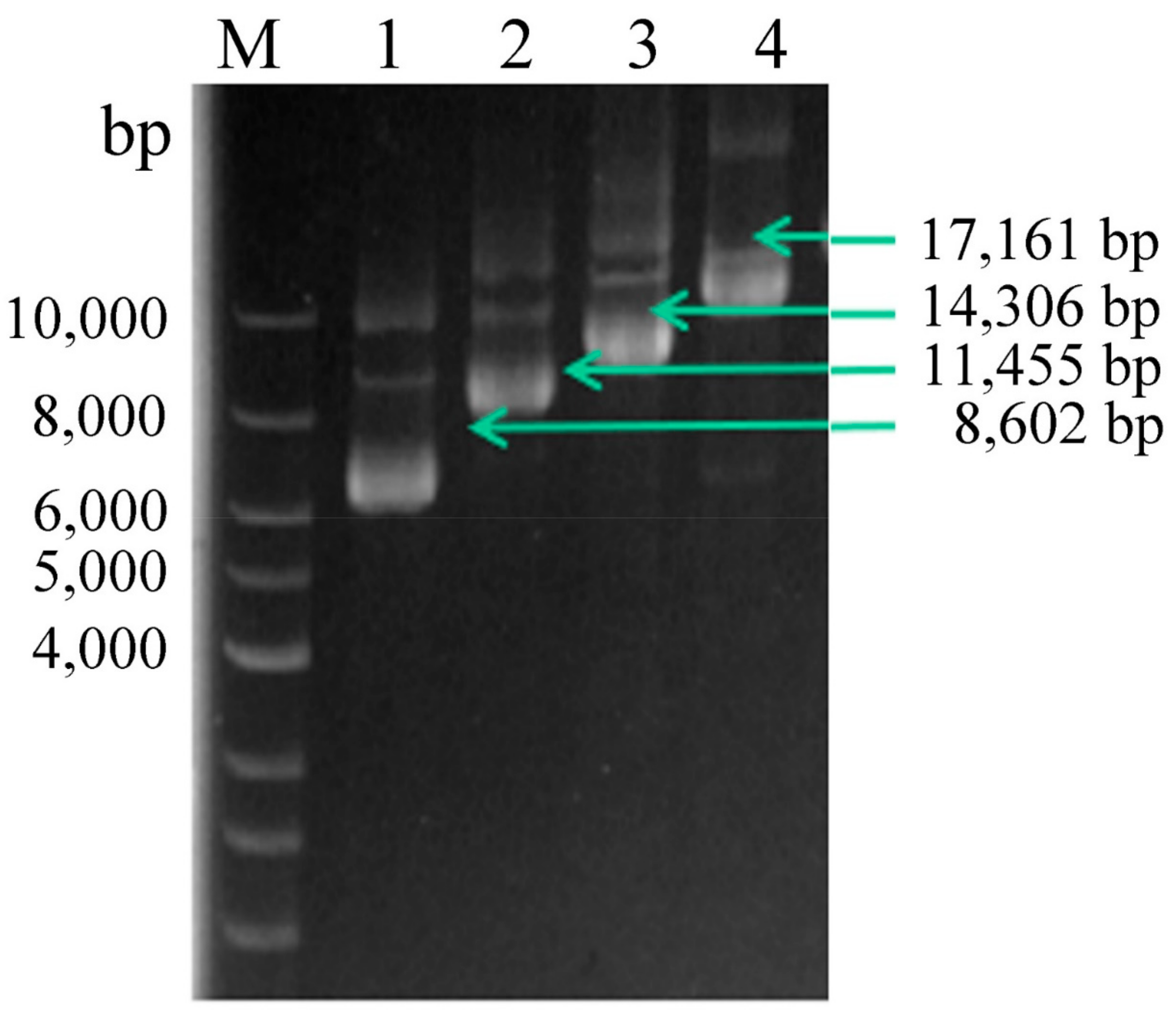 Molecules 27 00800 g002