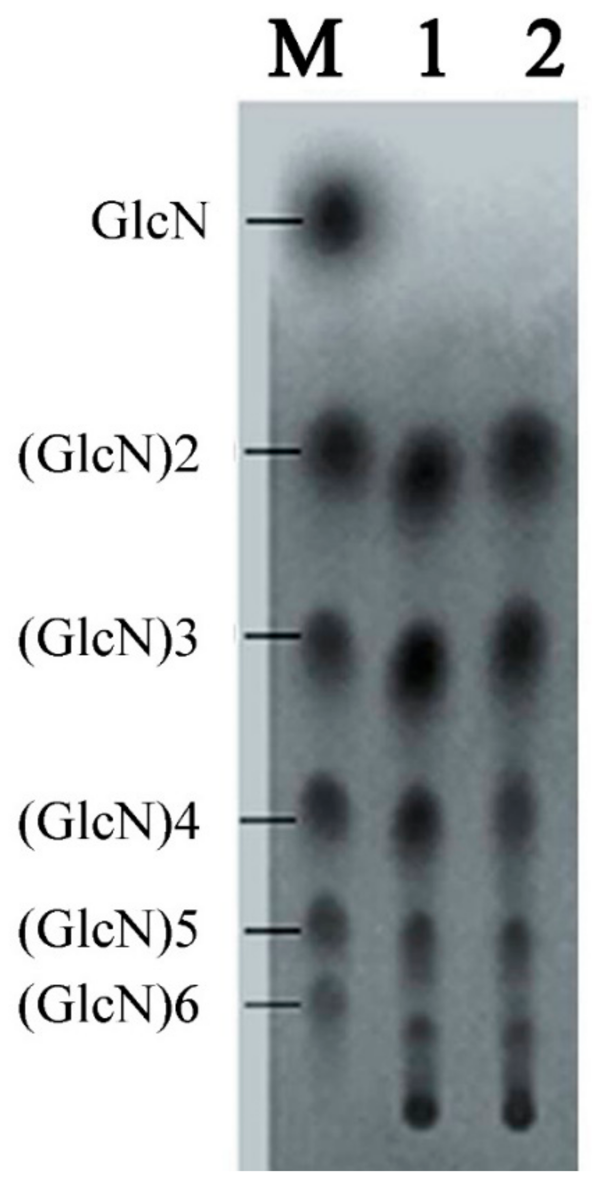 Molecules 27 00800 g008 Molecules 27 00800 g008