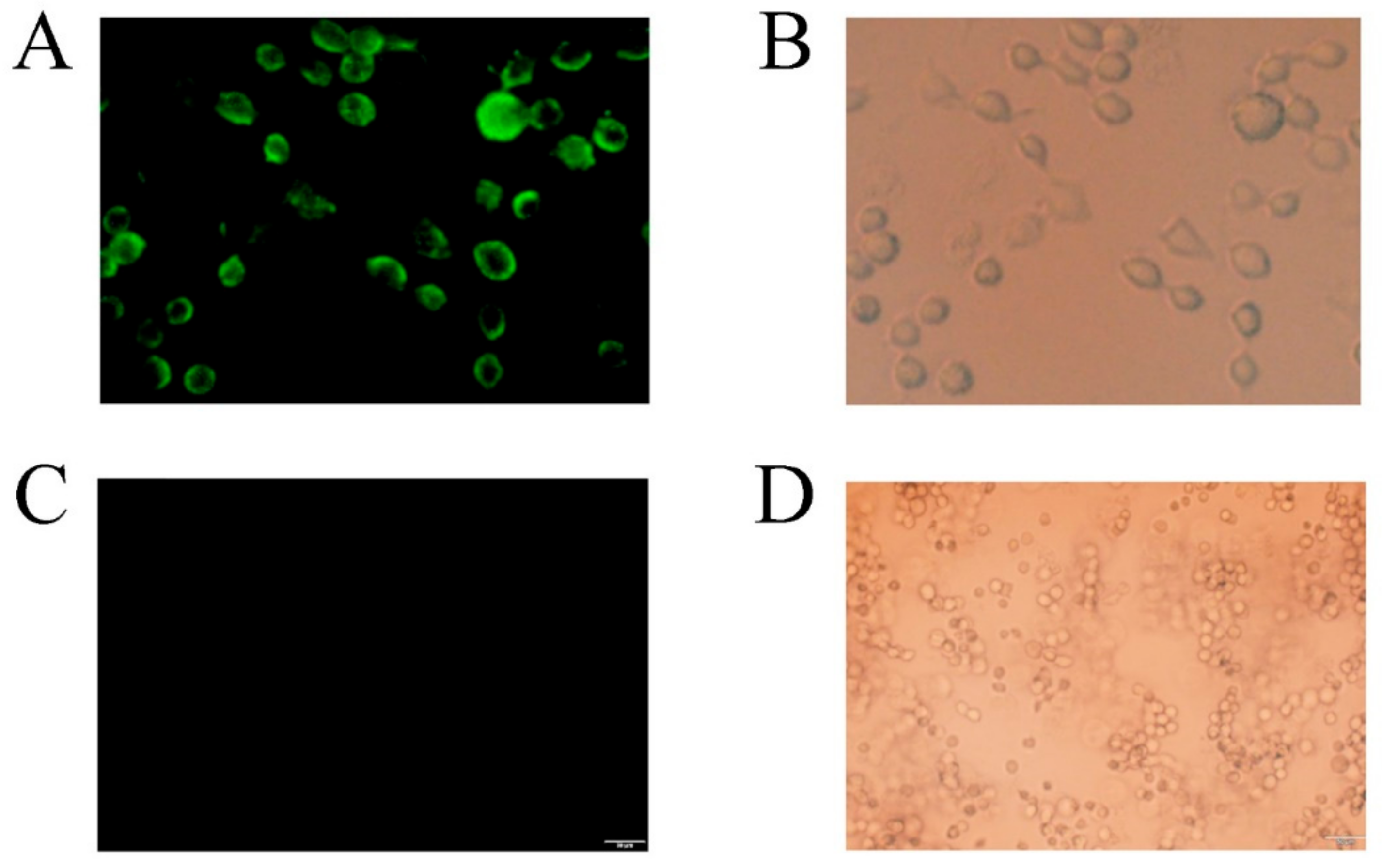 Molecules 27 00800 g009 Molecules 27 00800 g009