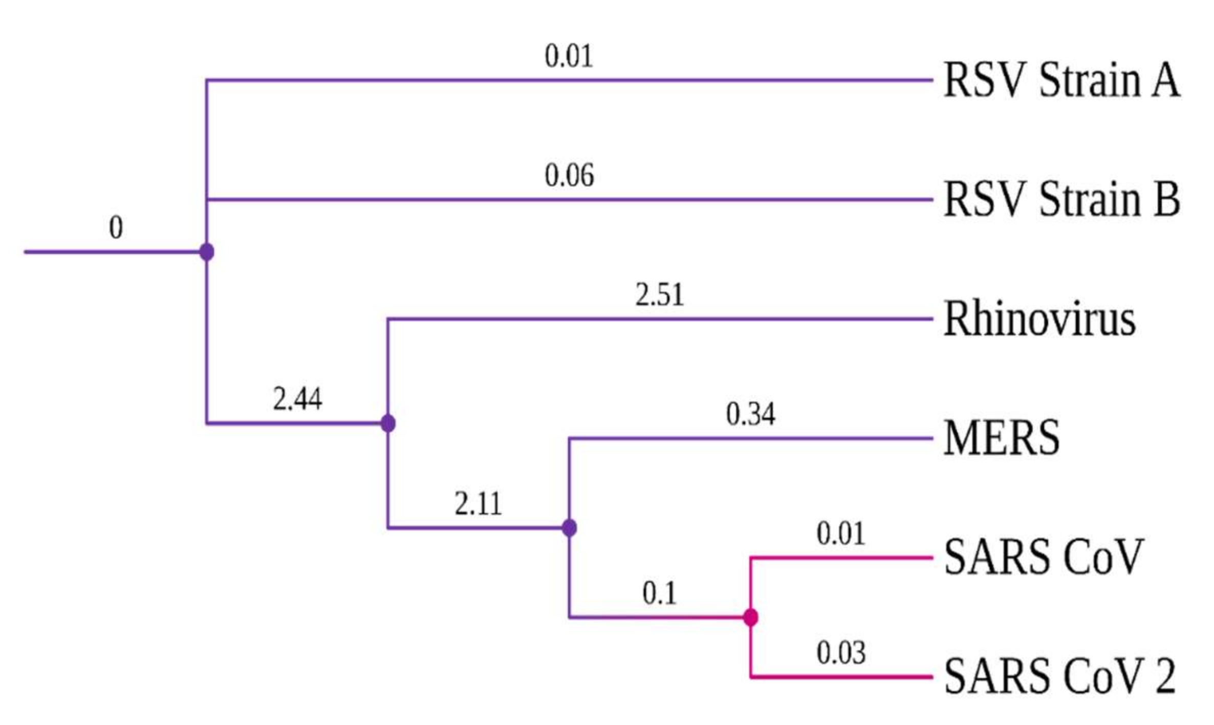 Molecules 27 00801 g001
