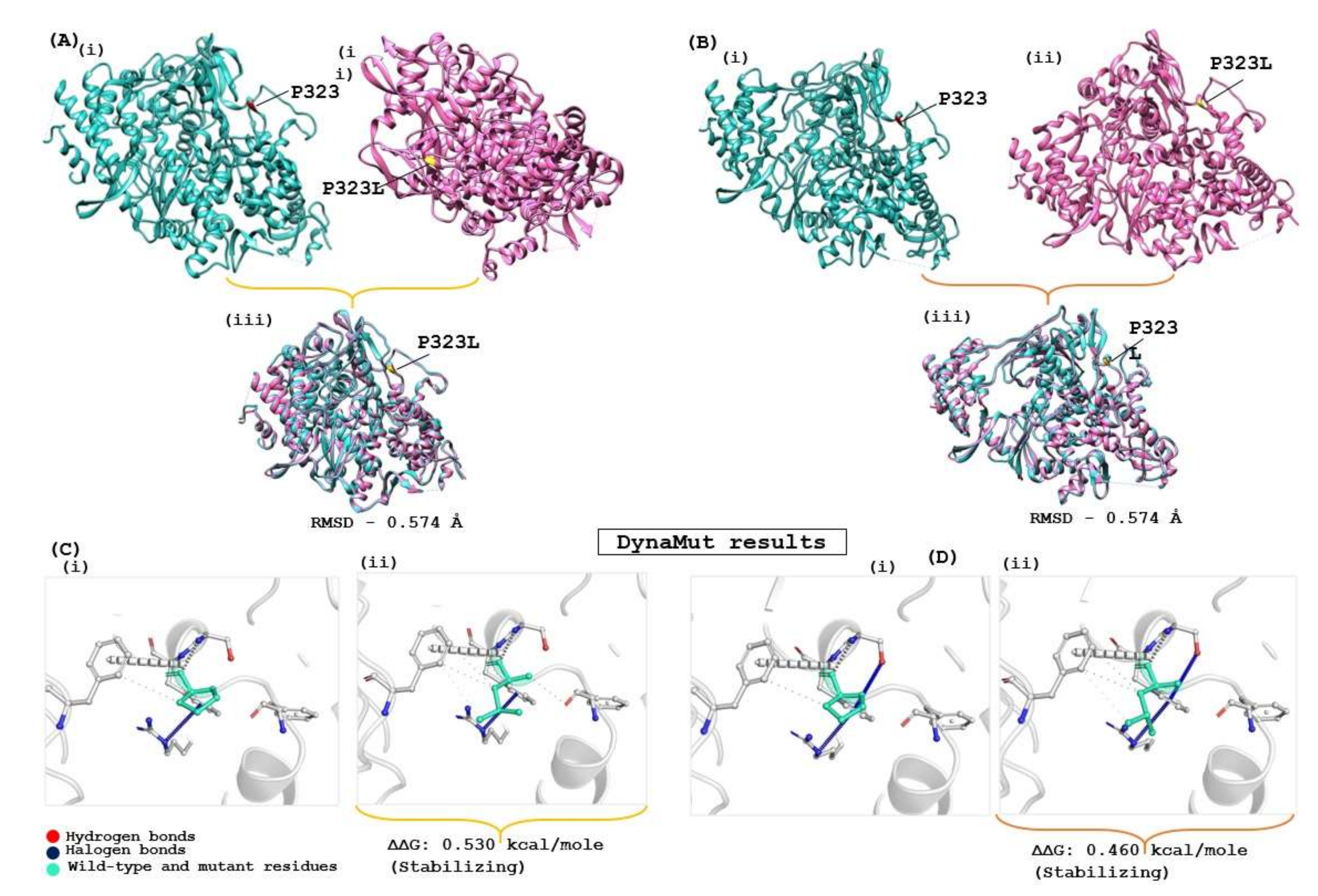 Molecules 27 00801 g002