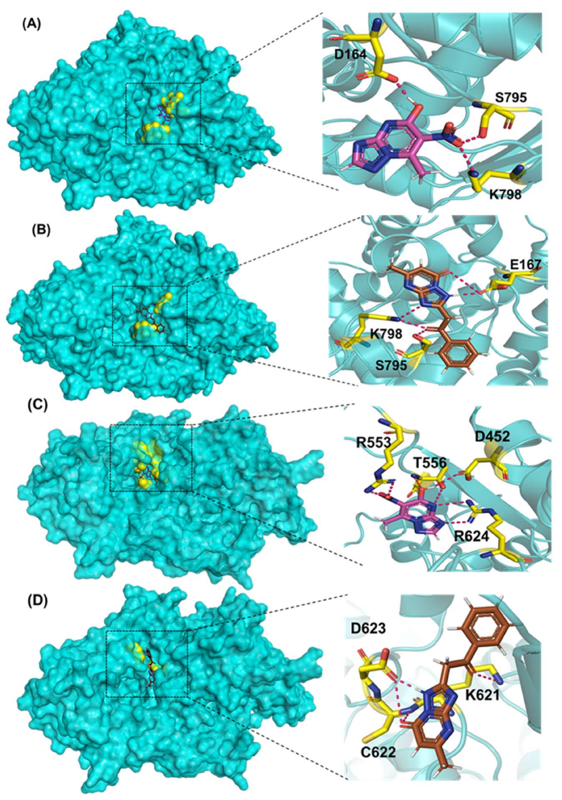 Molecules 27 00801 g003