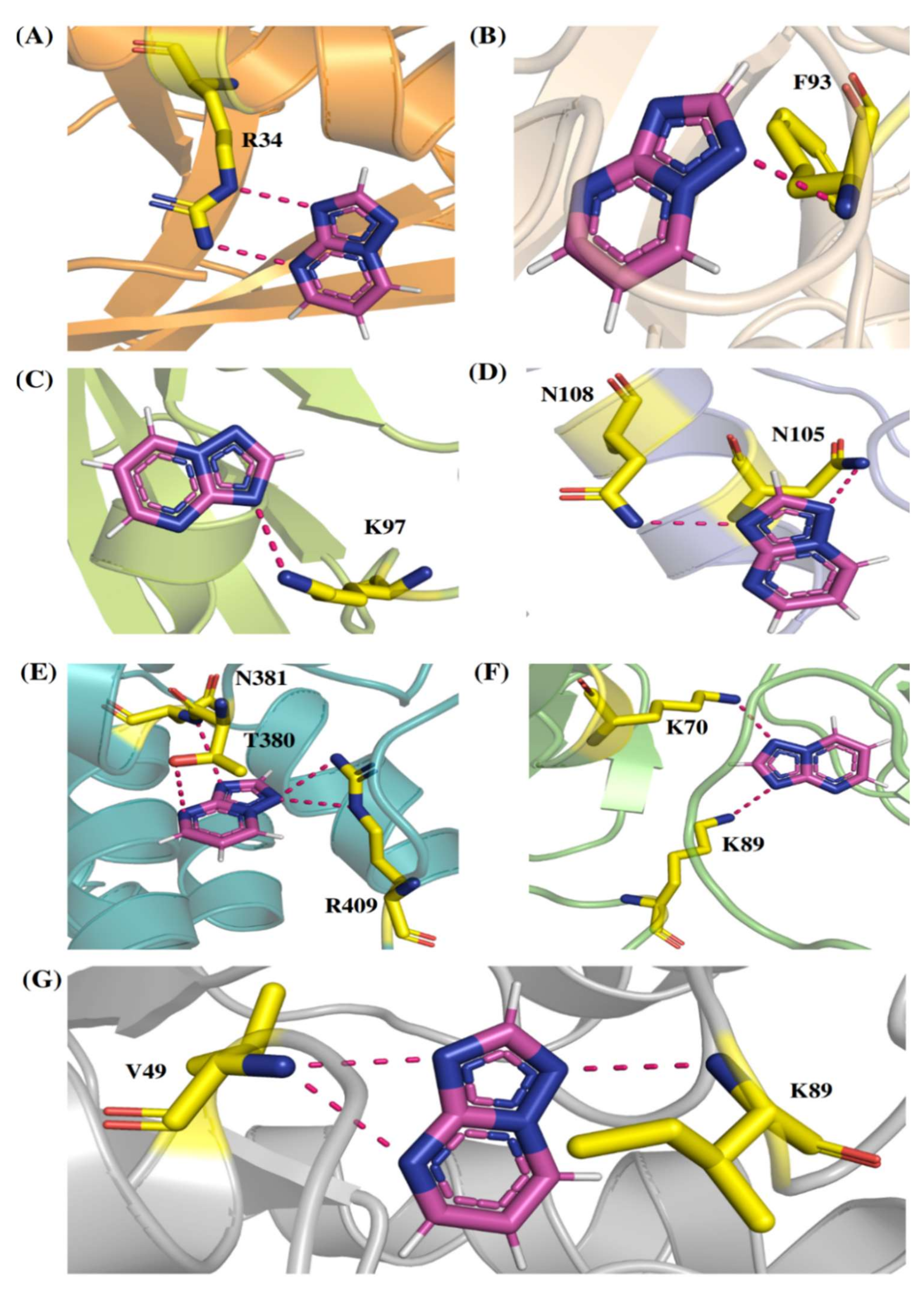Molecules 27 00801 g004