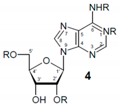 Molecules 27 00802 i001