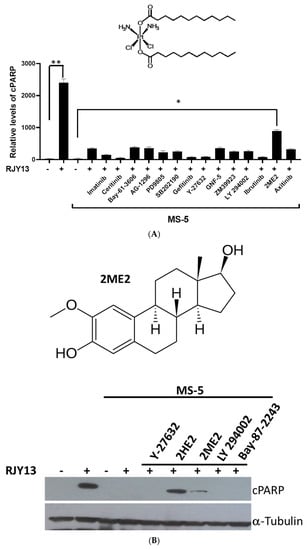 Molecules 27 00804 g001a Molecules 27 00804 g001a