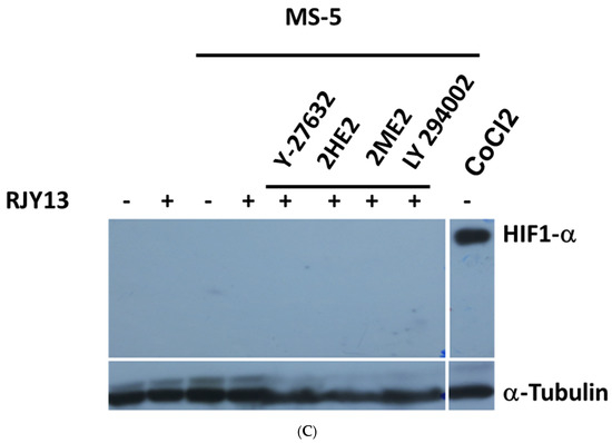 Molecules 27 00804 g001b
