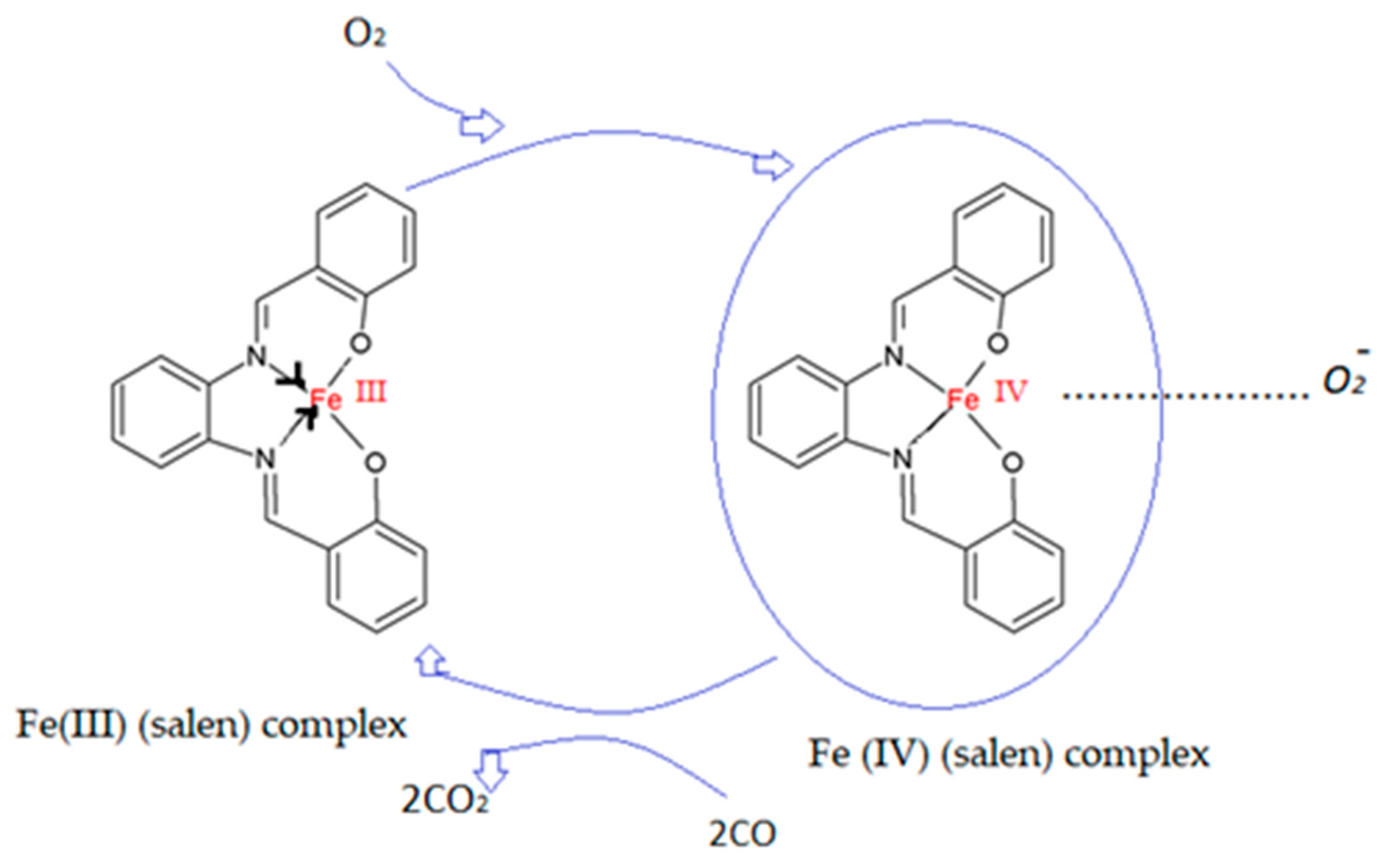 Molecules 27 00821 g013