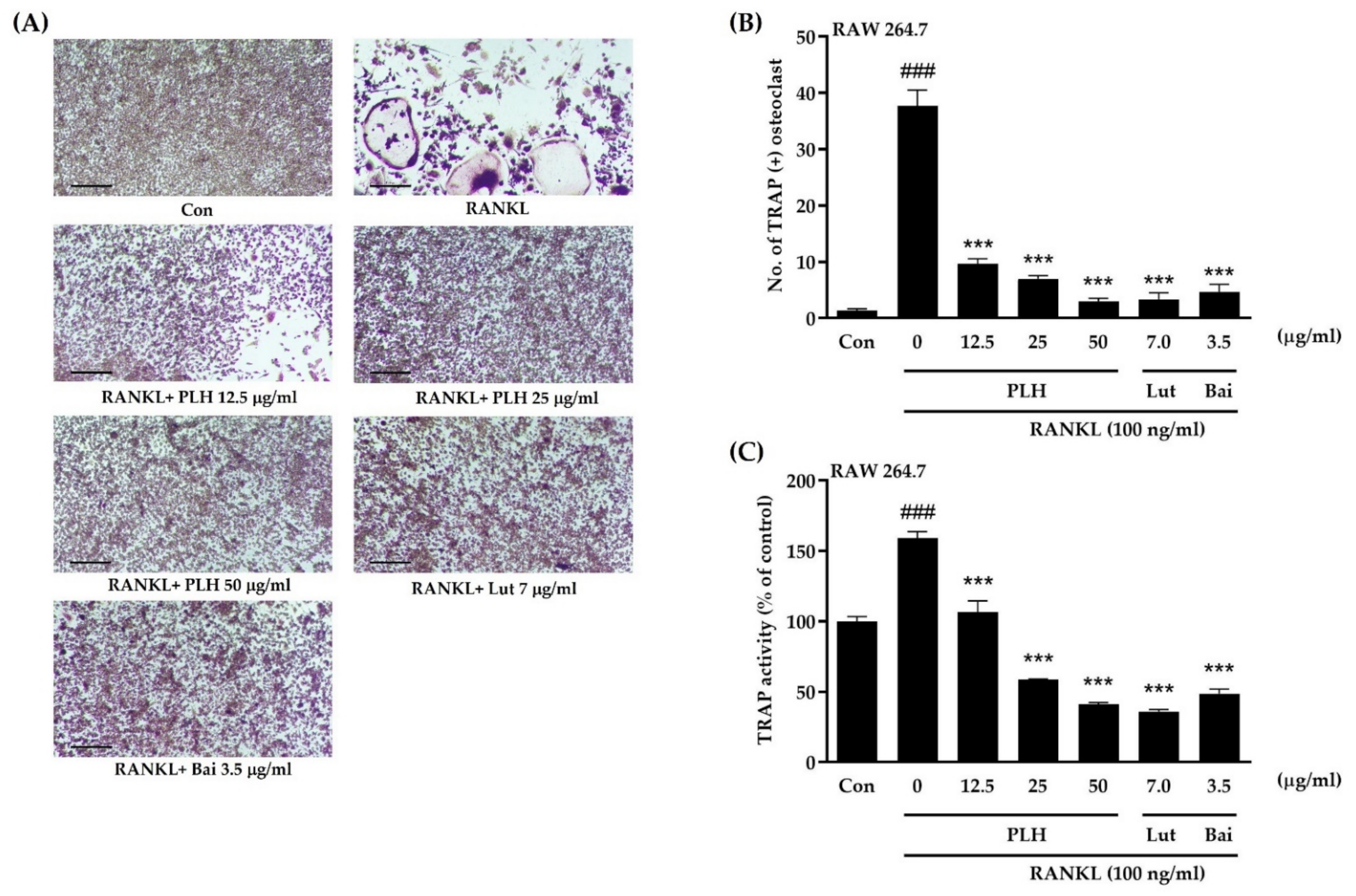 Molecules 27 00824 g004