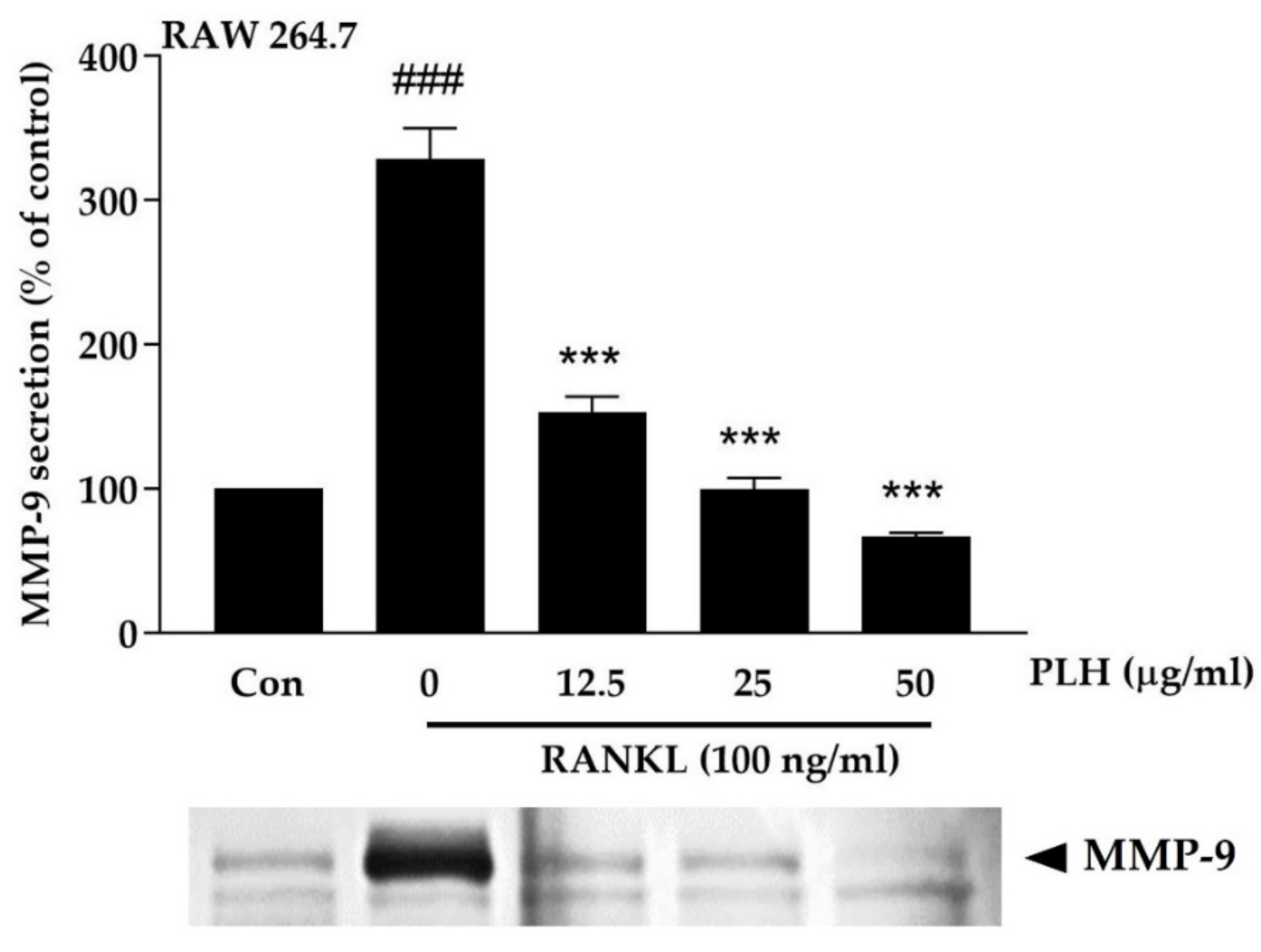 Molecules 27 00824 g005