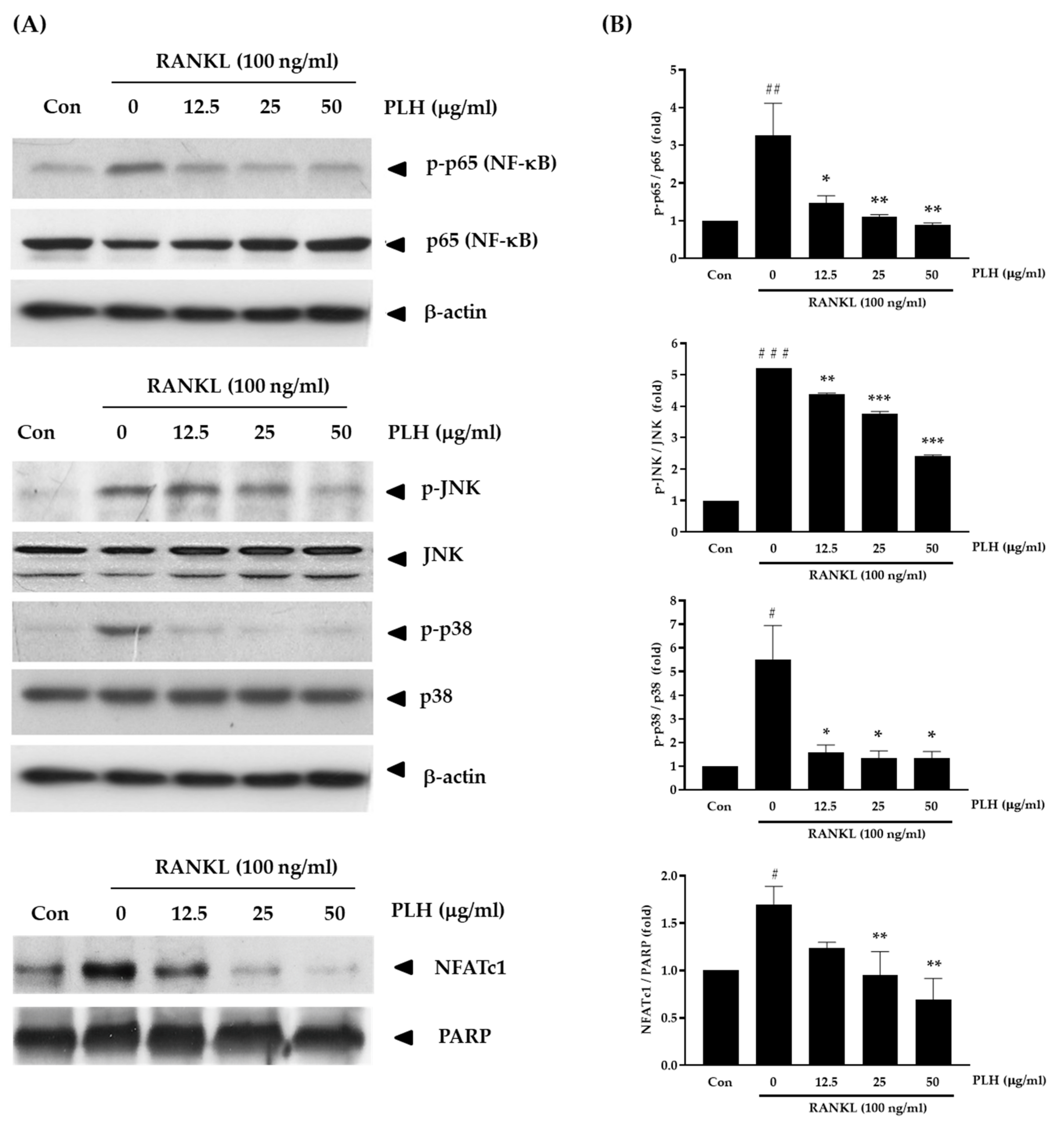Molecules 27 00824 g006