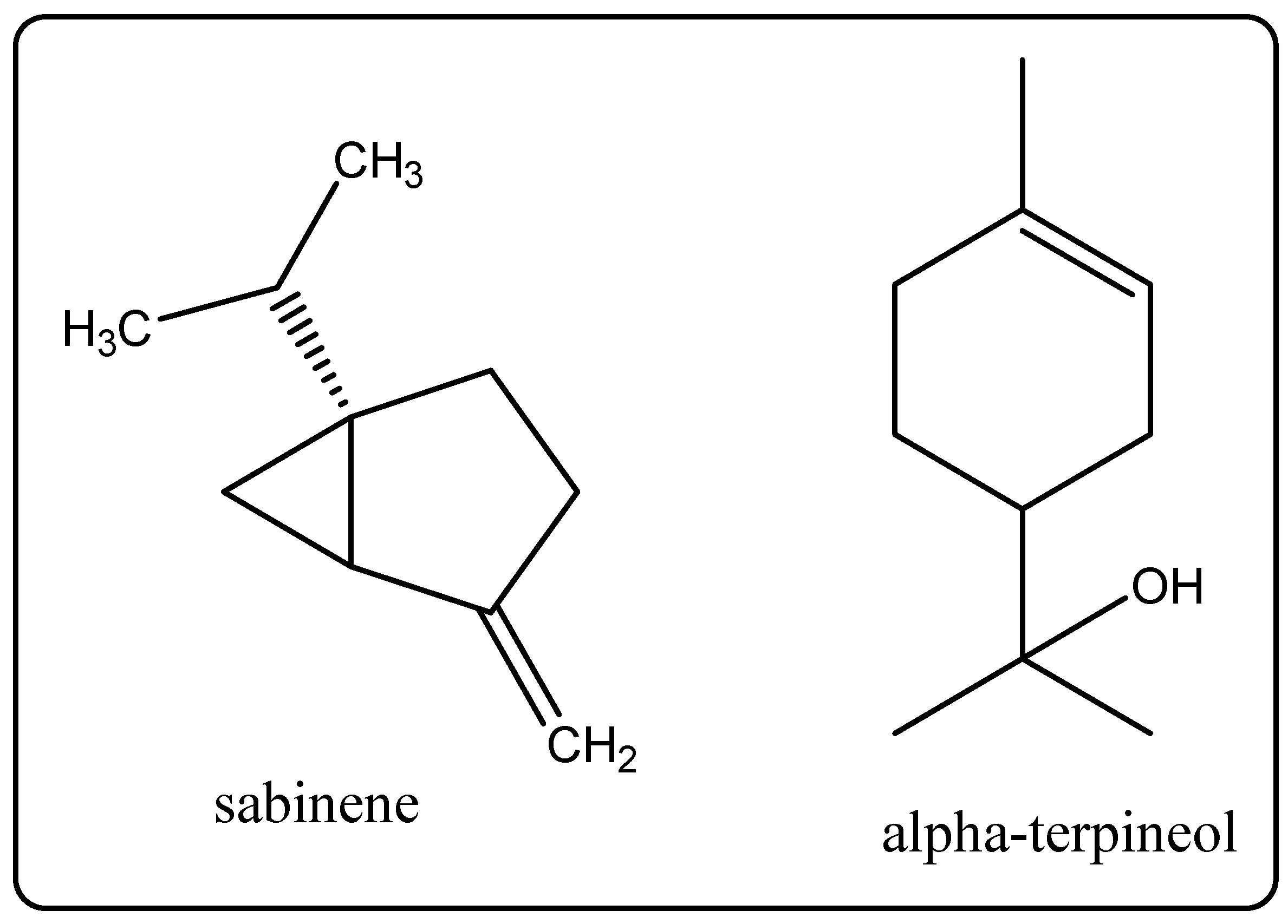 Molecules 27 00828 g011