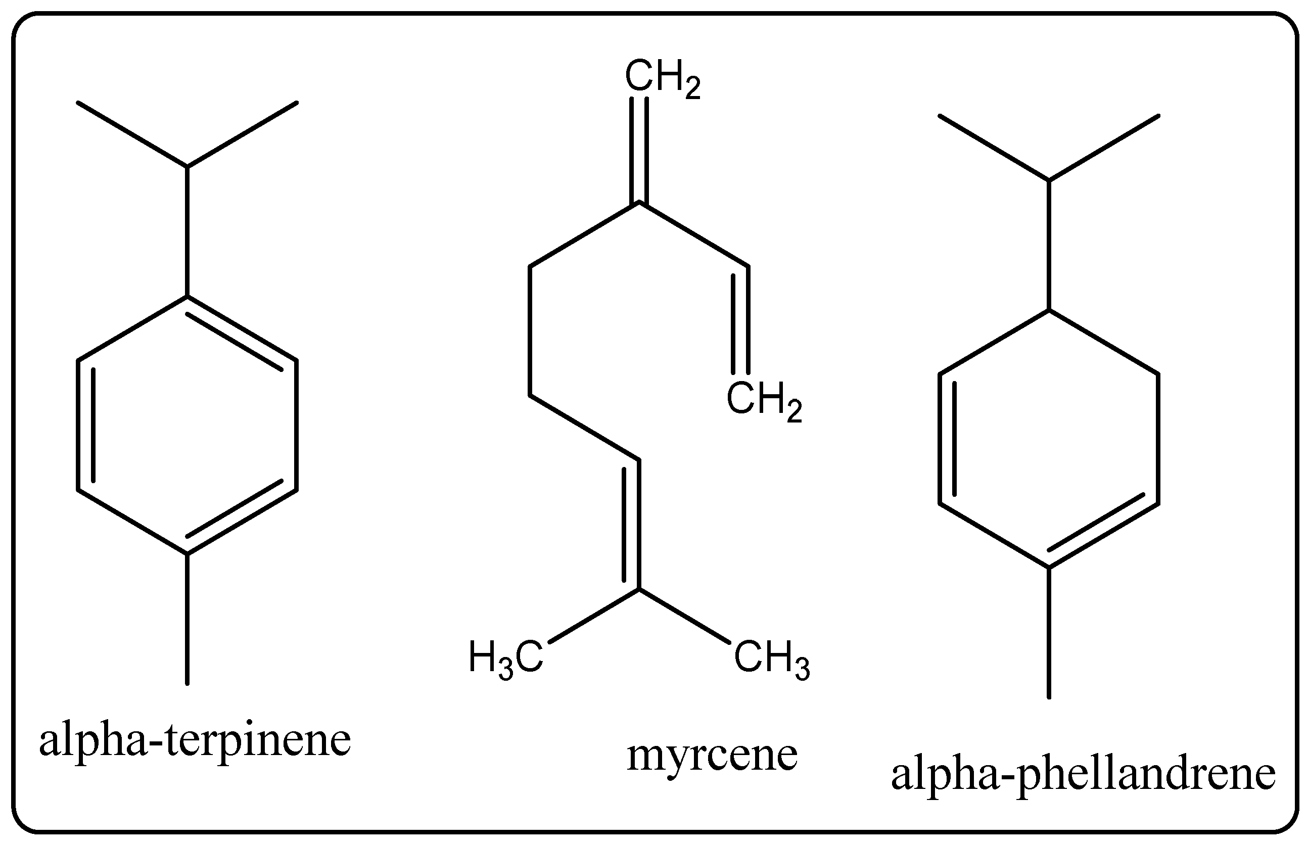 Molecules 27 00828 g013