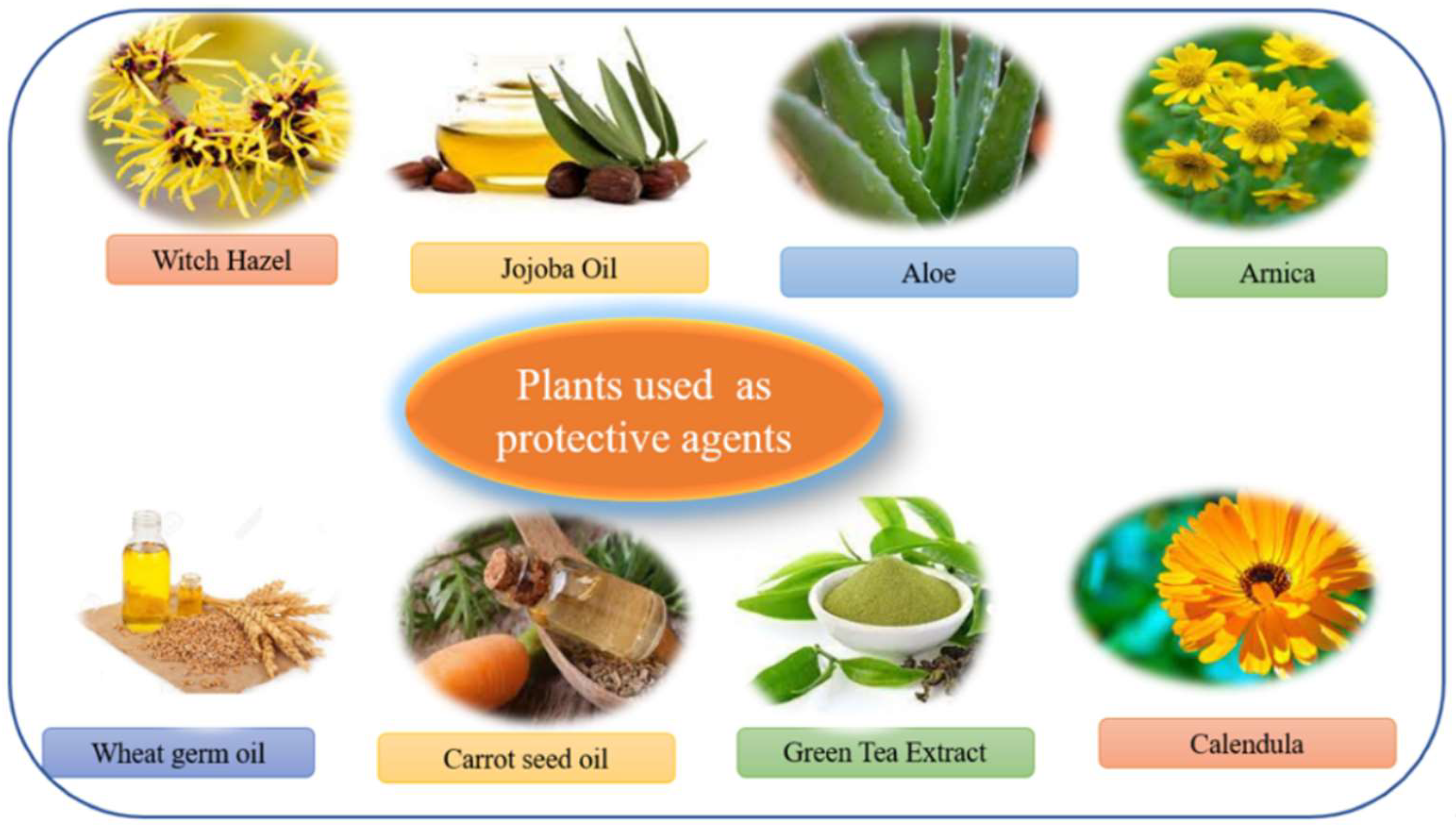 Molecules 27 00828 g015