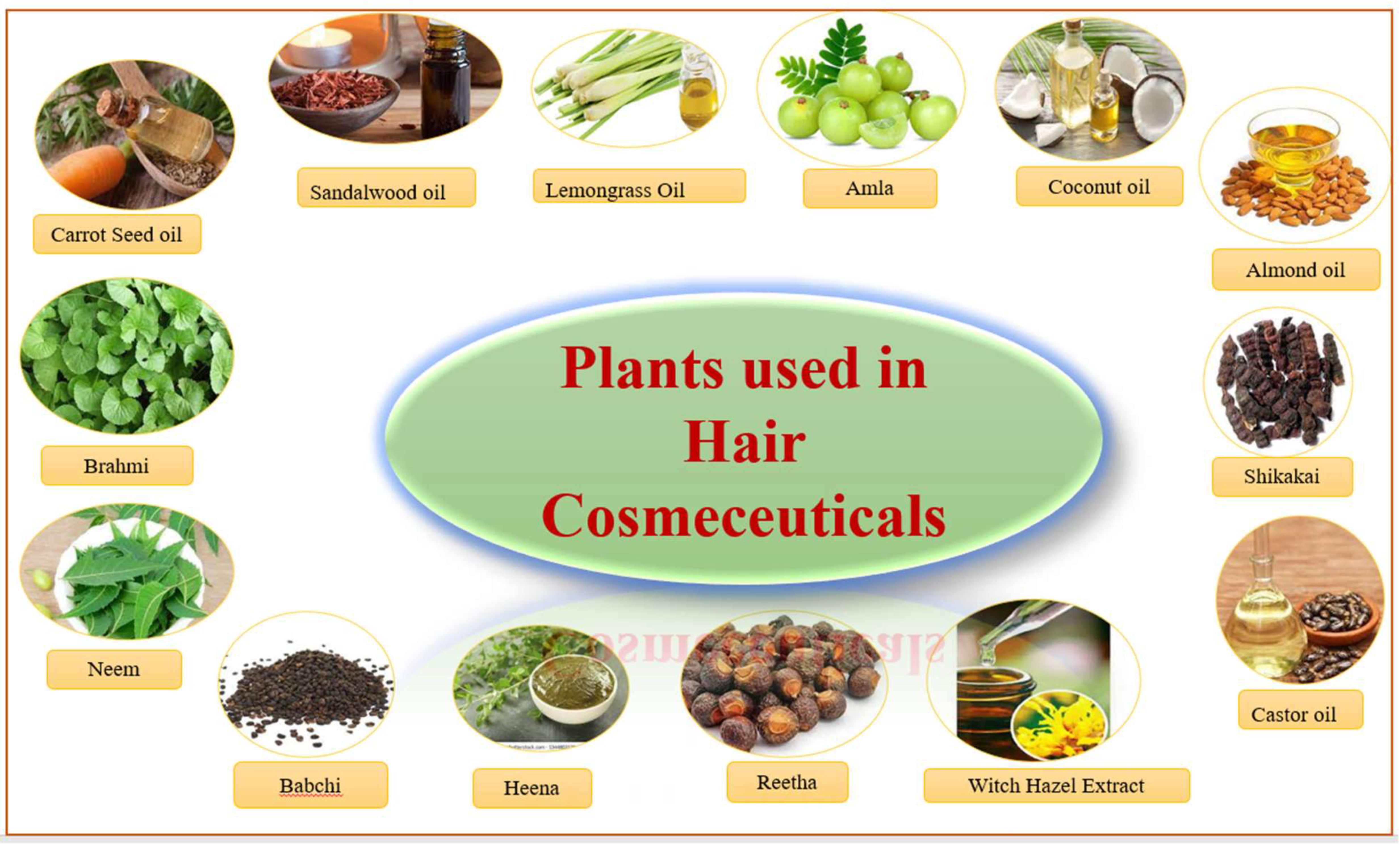 Molecules 27 00828 g016