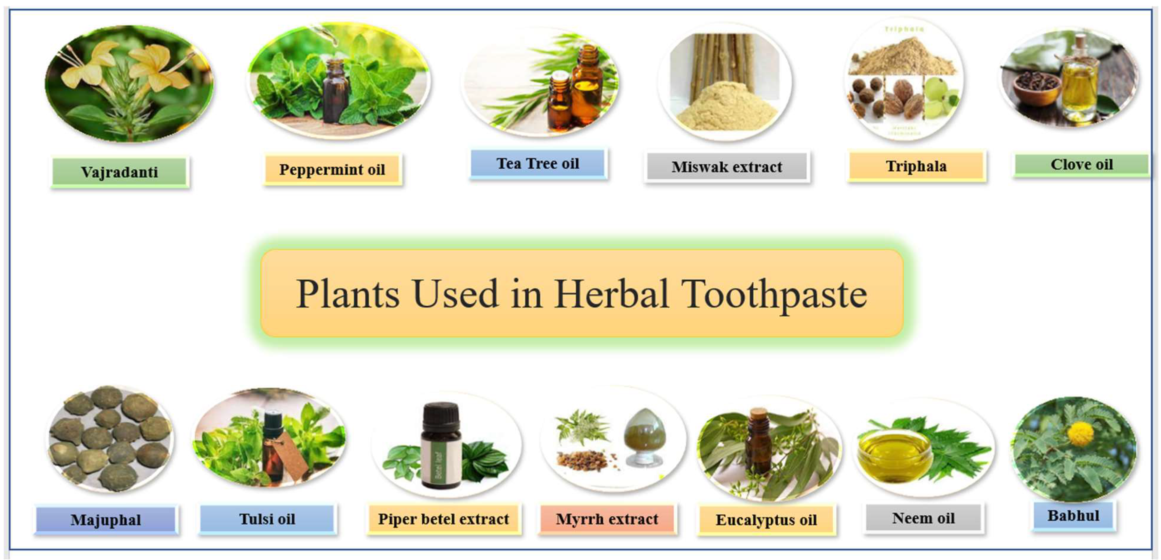 Molecules 27 00828 g017